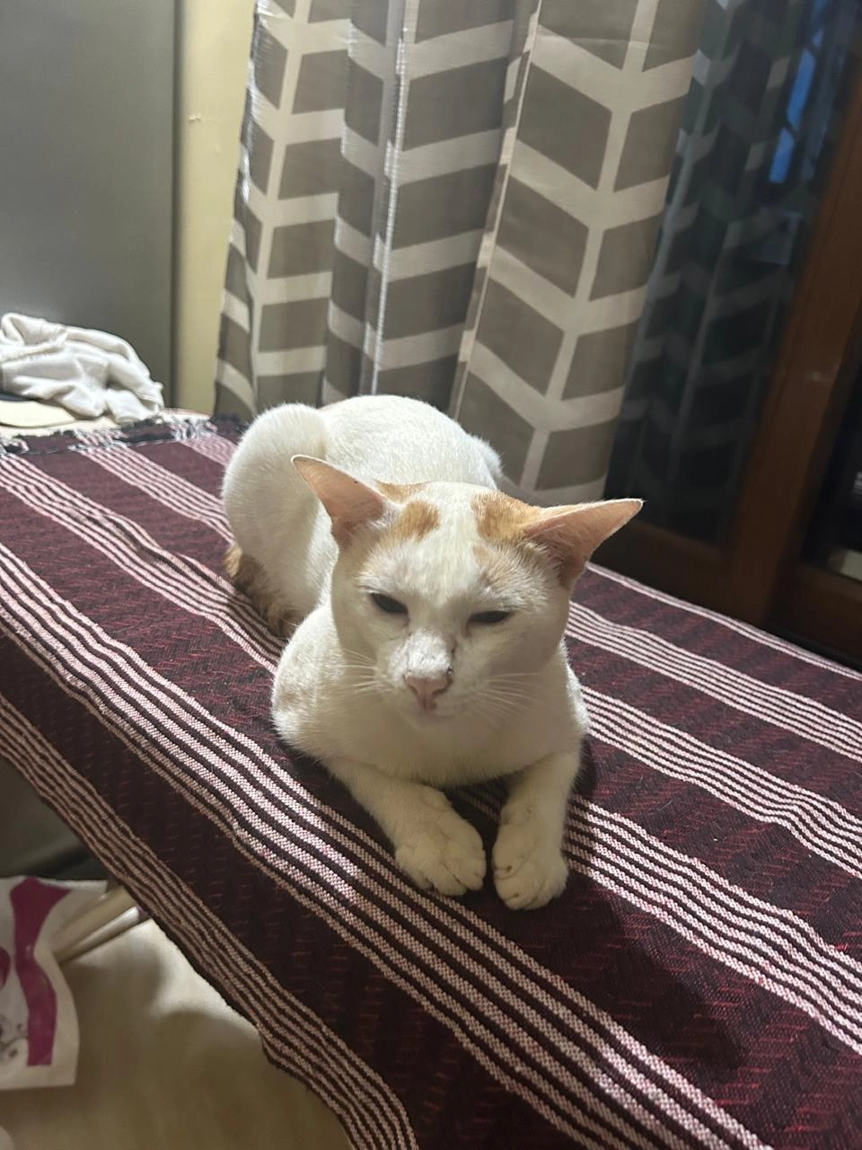 Ammunuti - Ananda Nagar, Pondicherry