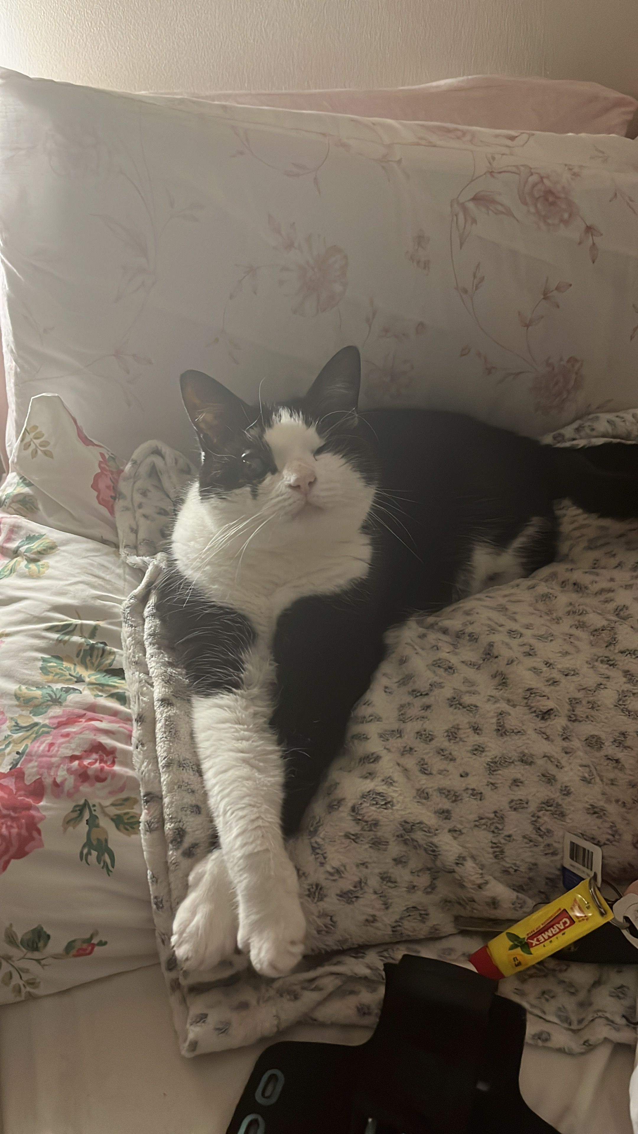 Peep - Riverchapel Green, Ardamine