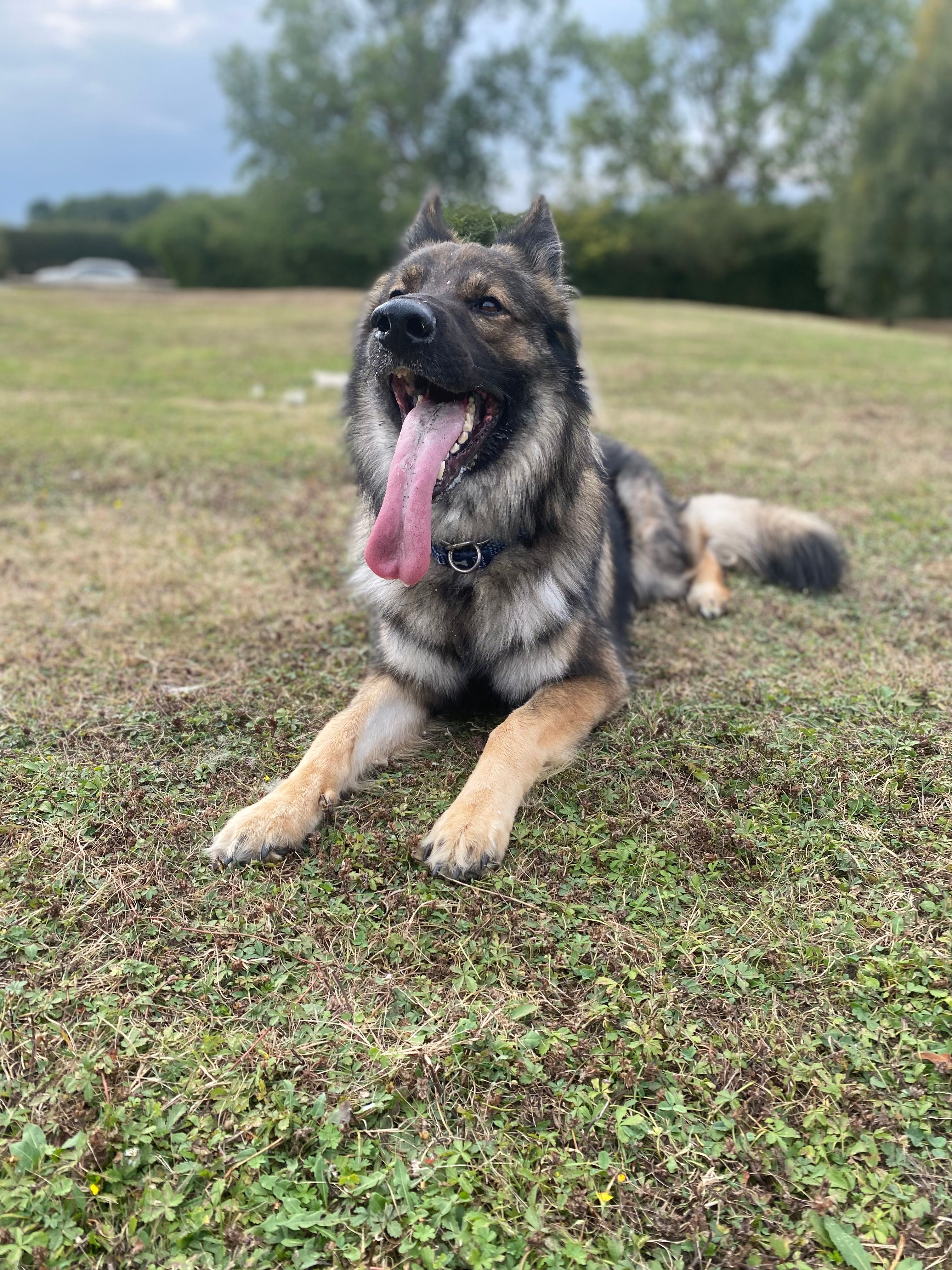 Mac - Station Road, Bedford