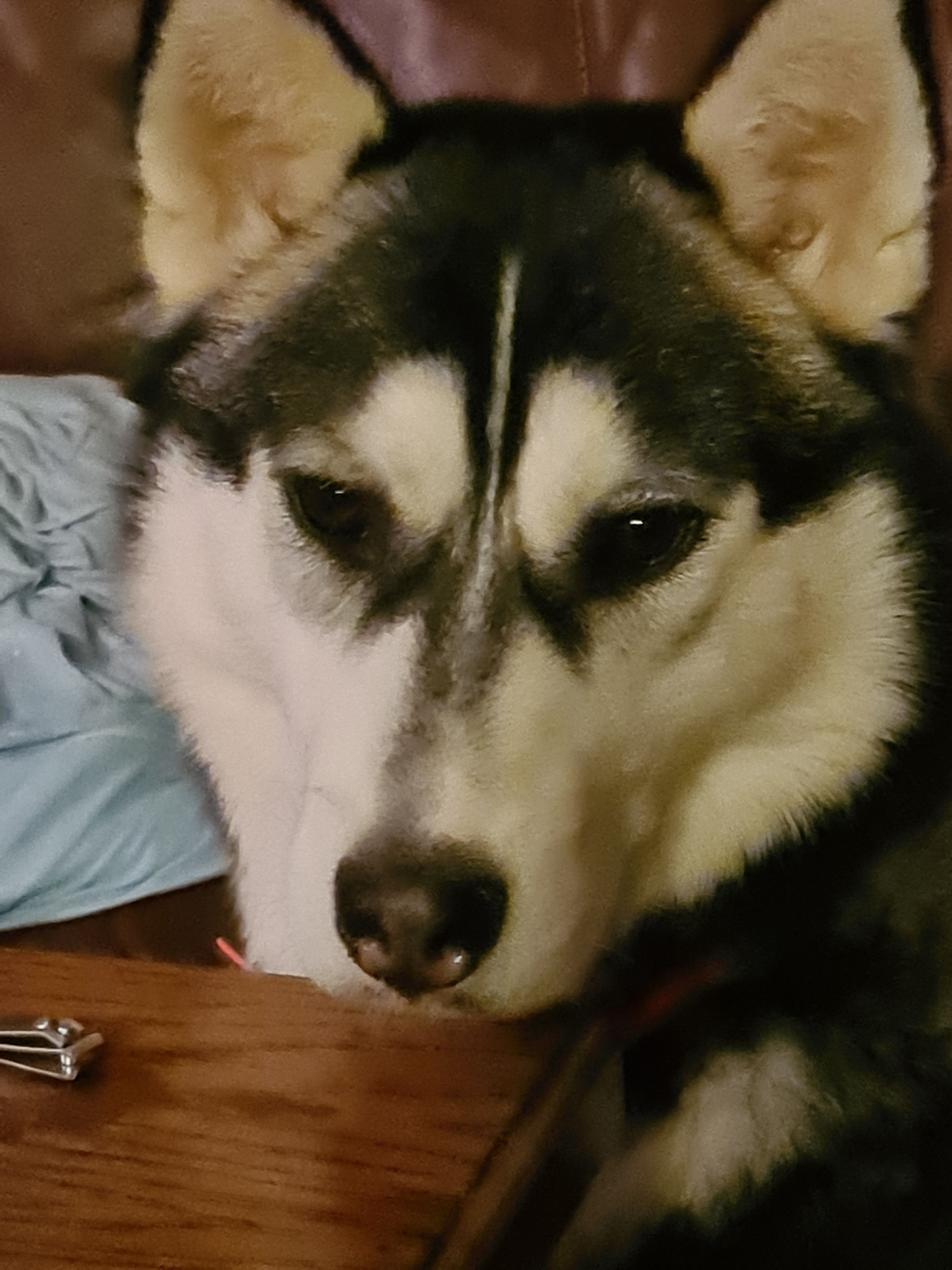 Linda - Hehenberg, Bad Hall