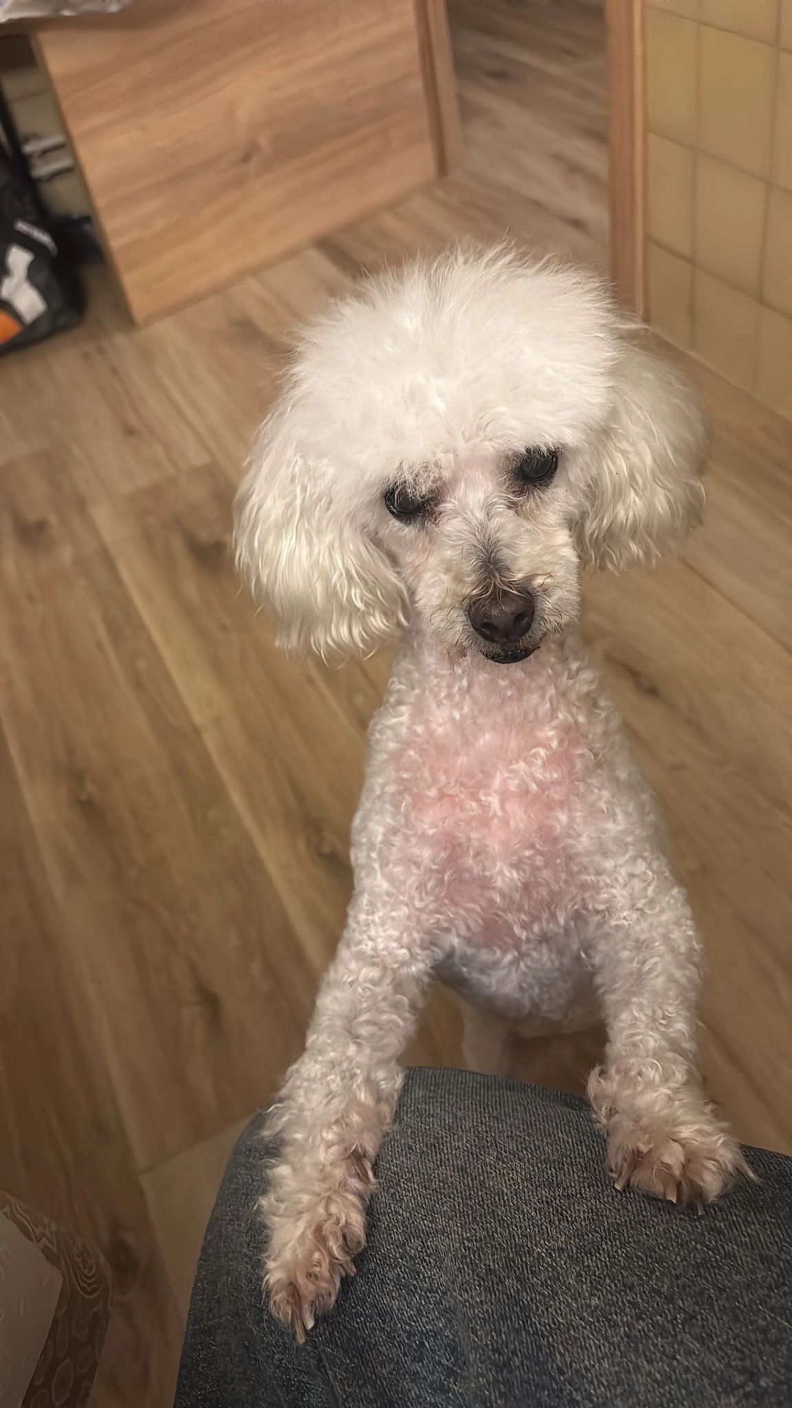 Dana - Avinguda Sant Daniel, Tordera