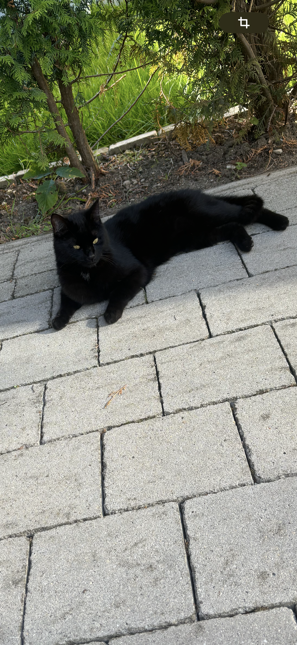 Mailo - Schubertstraße, Leutkirch im Allgäu