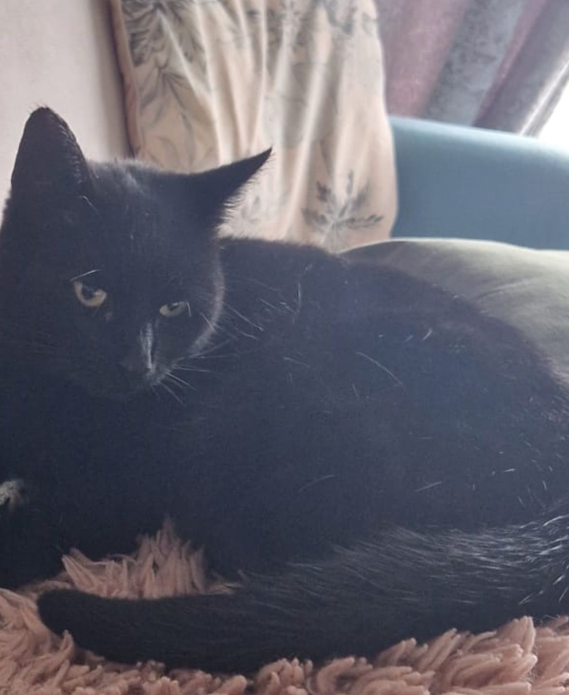 Binx - Heol Cae Rhosyn, Swansea