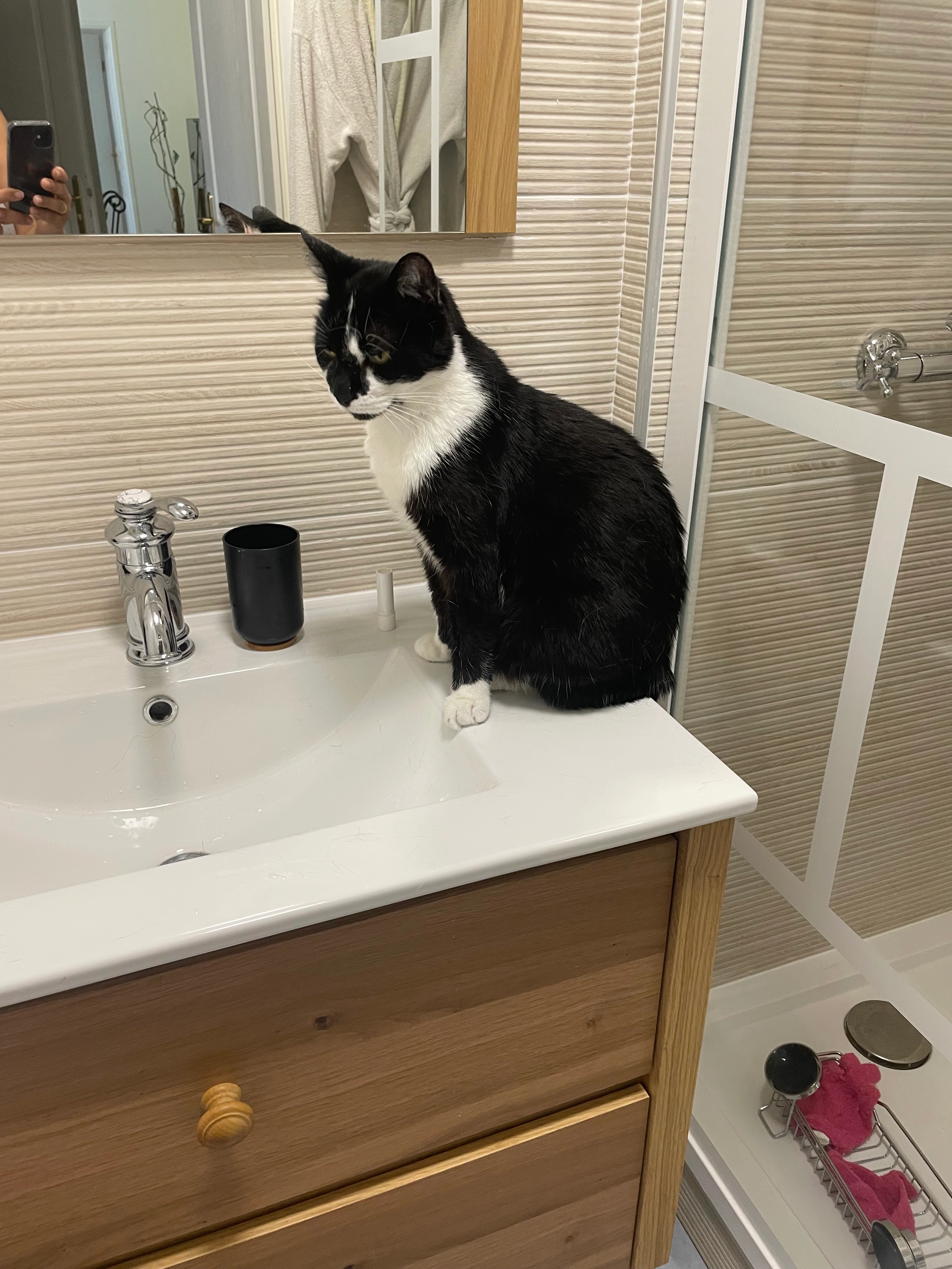 Chicha - Rue Jacques-Louis Duvivier, Limay