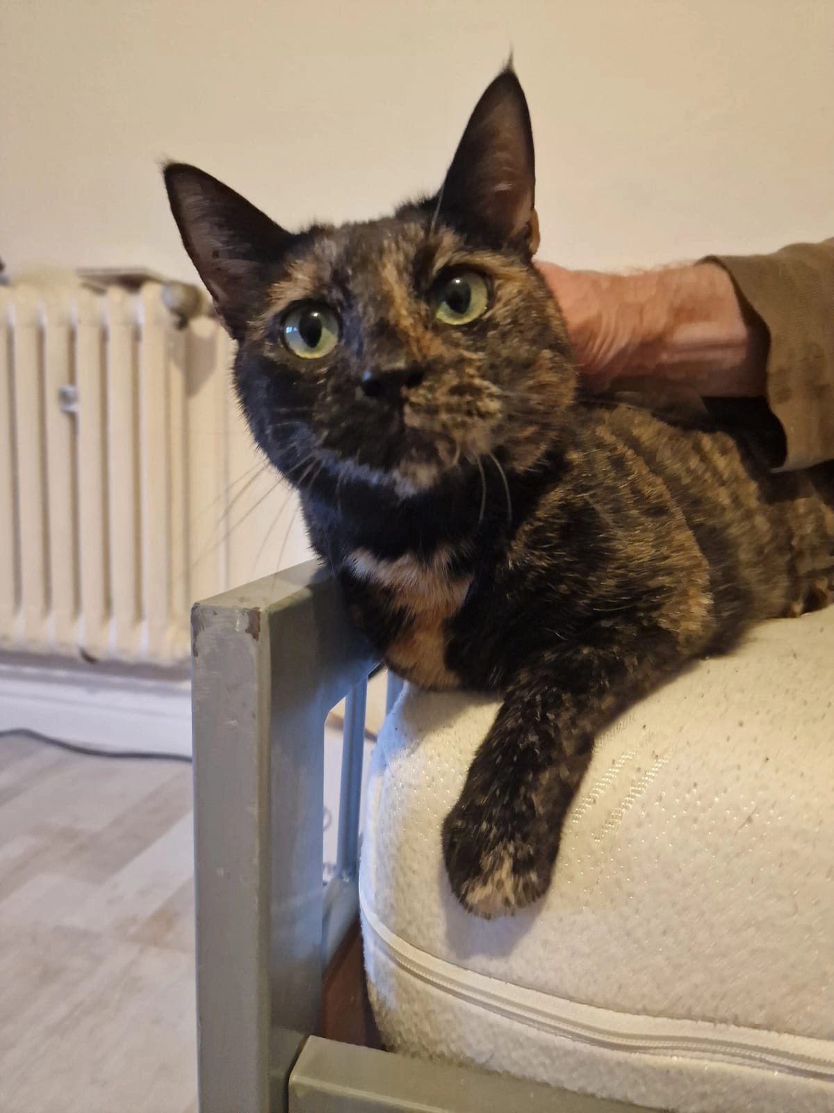 Skyler - Grifte, Edermünde