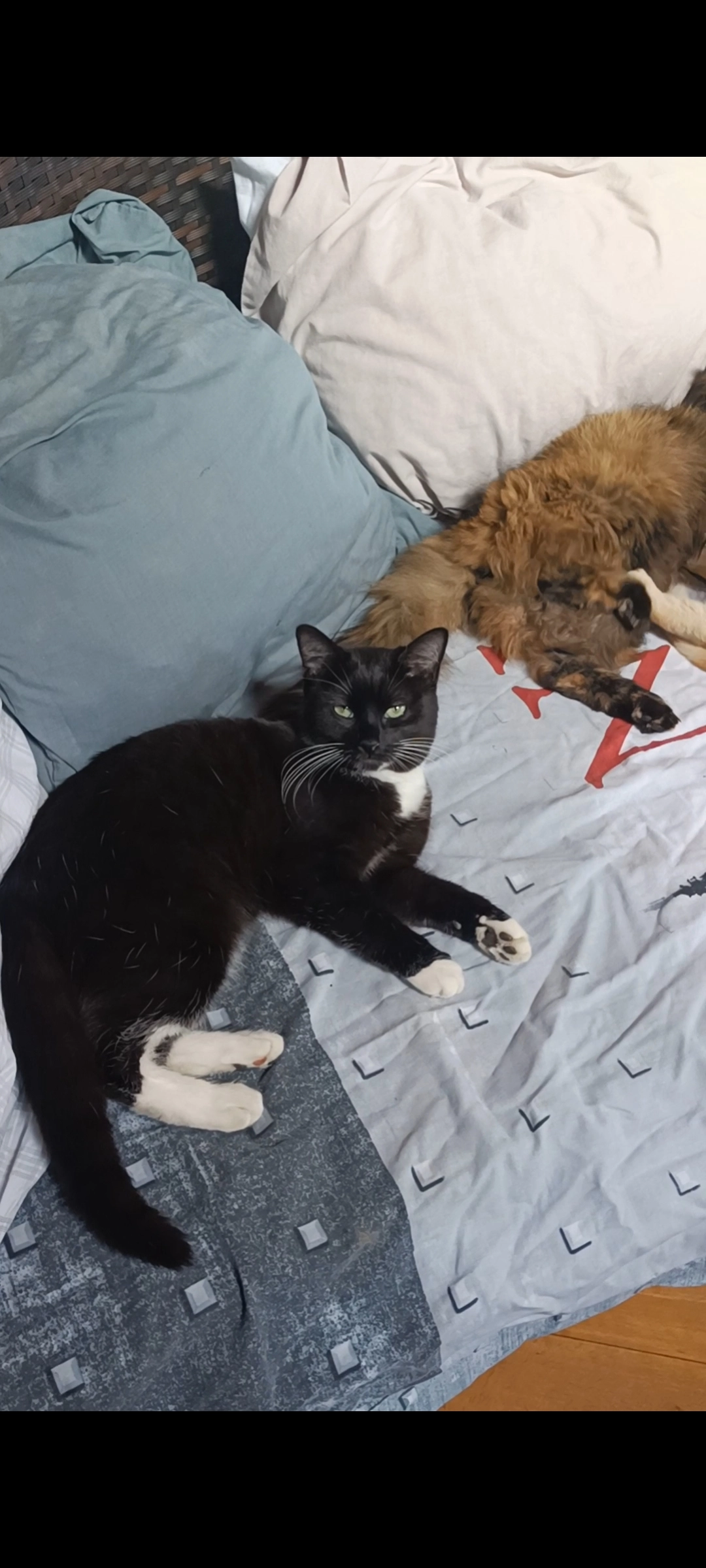 Ulla - 34 Chemin de Kérrequel, Quimper