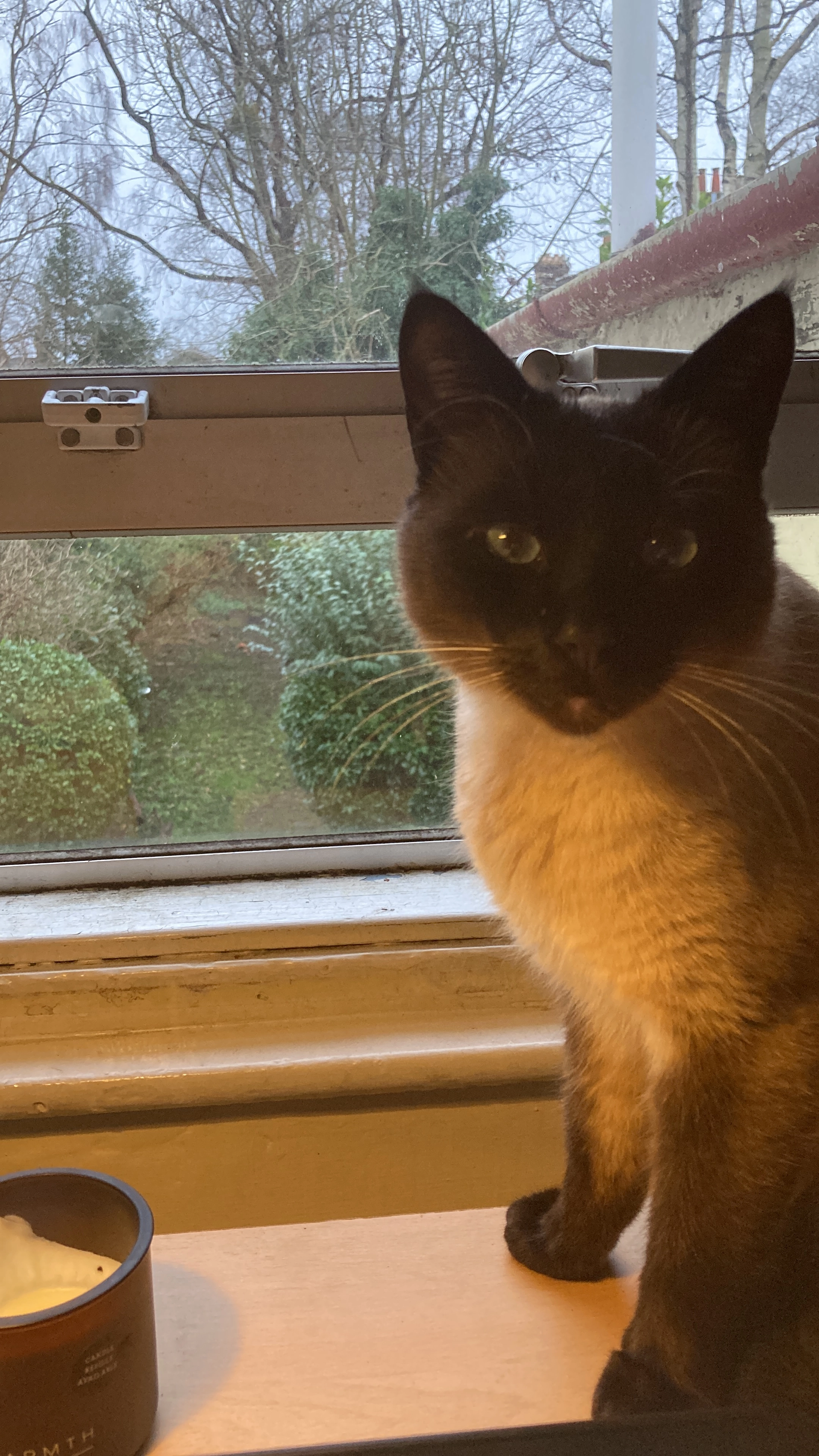 Caju - Marlborough Road, Oxford