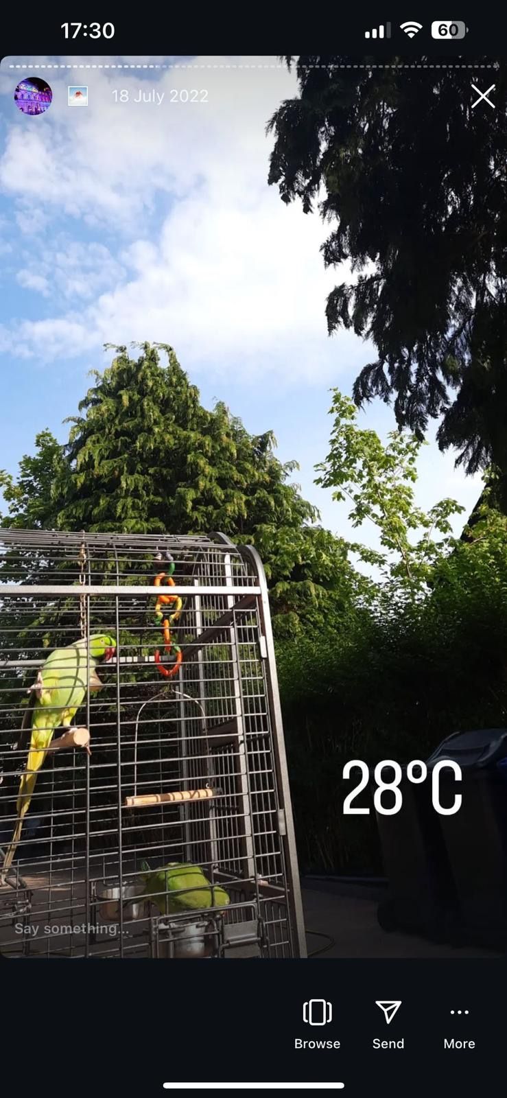 Cheeku - Craigfaulds Avenue, Paisley