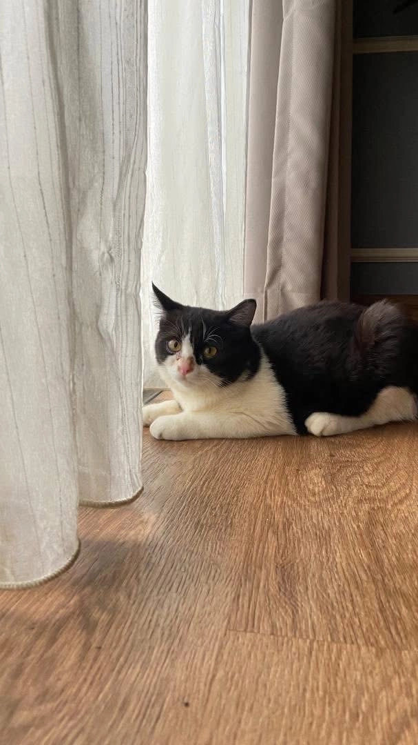 Zoro - 3/18 Bangi Perdana, Bandar Baru Bangi