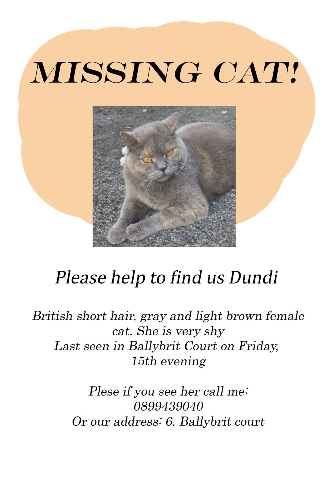 Dundi - Ballybrit Court, Galway