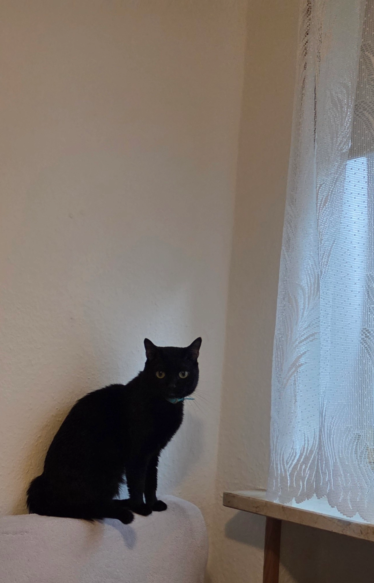 Csufi - Ostfeldstraße, Bad Heilbrunn