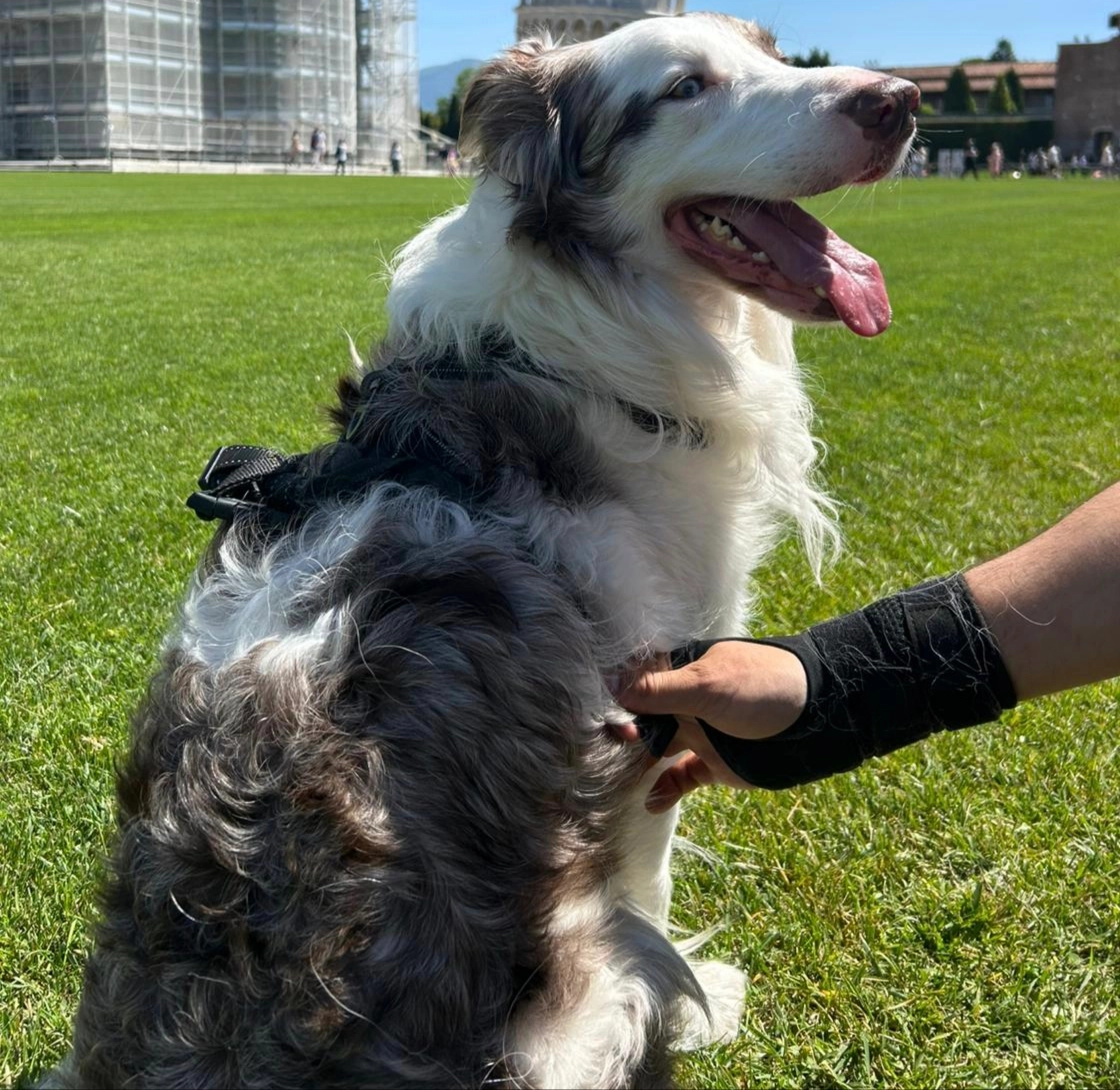 Charlie - Via Conservatorio, Tramonti