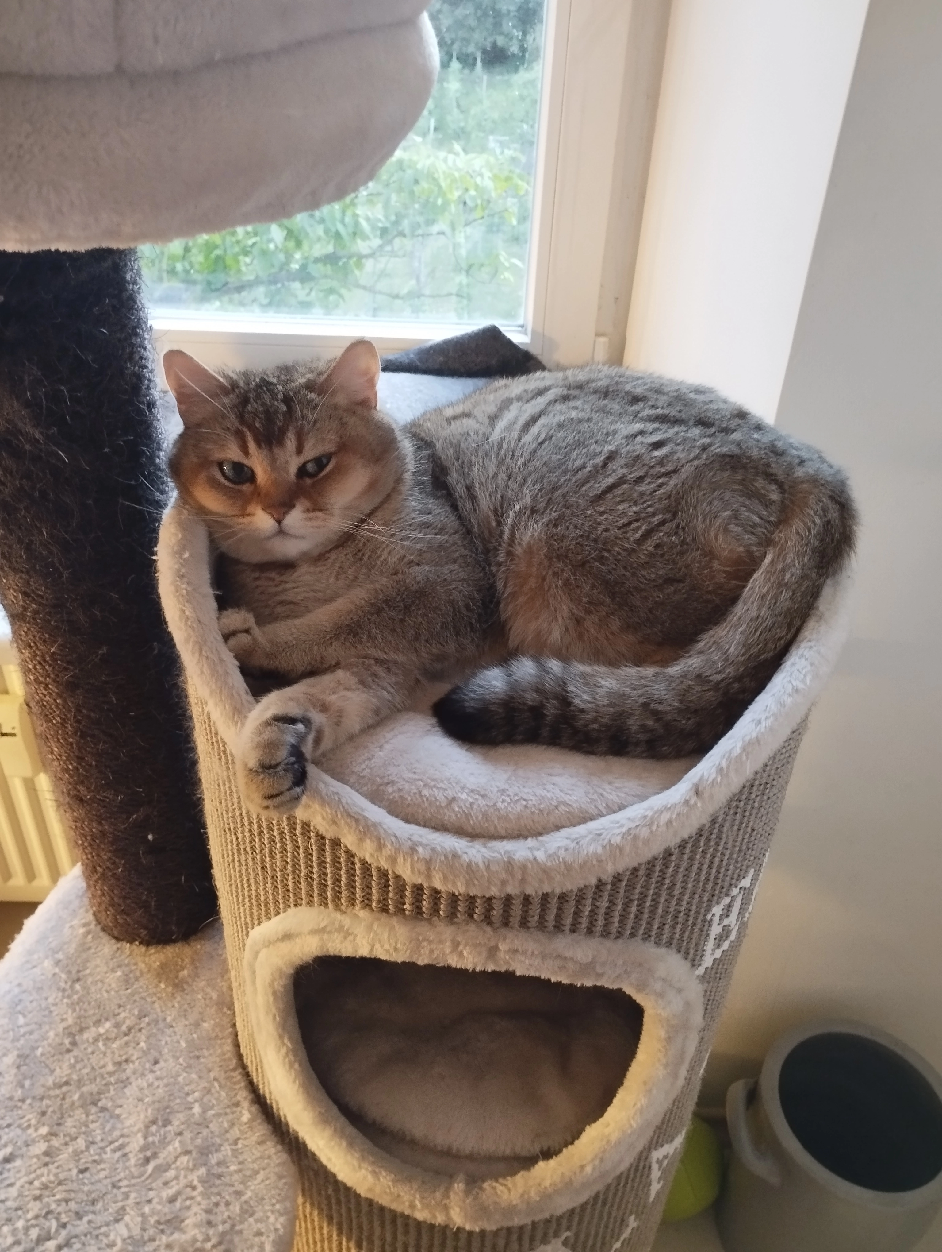 Musja - Erbacher Straße, Eltville am Rhein