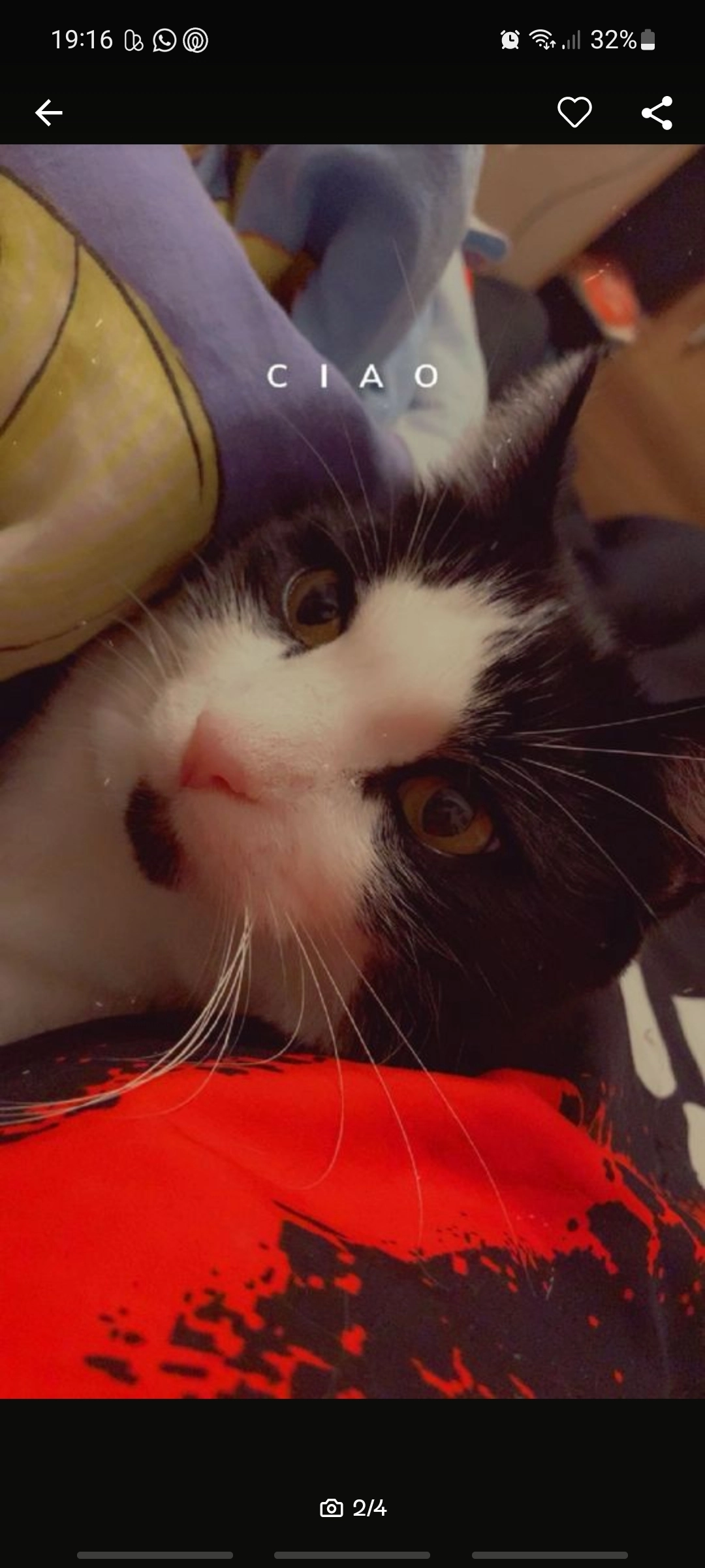 Chikko - Harzborngraben, Grammetal