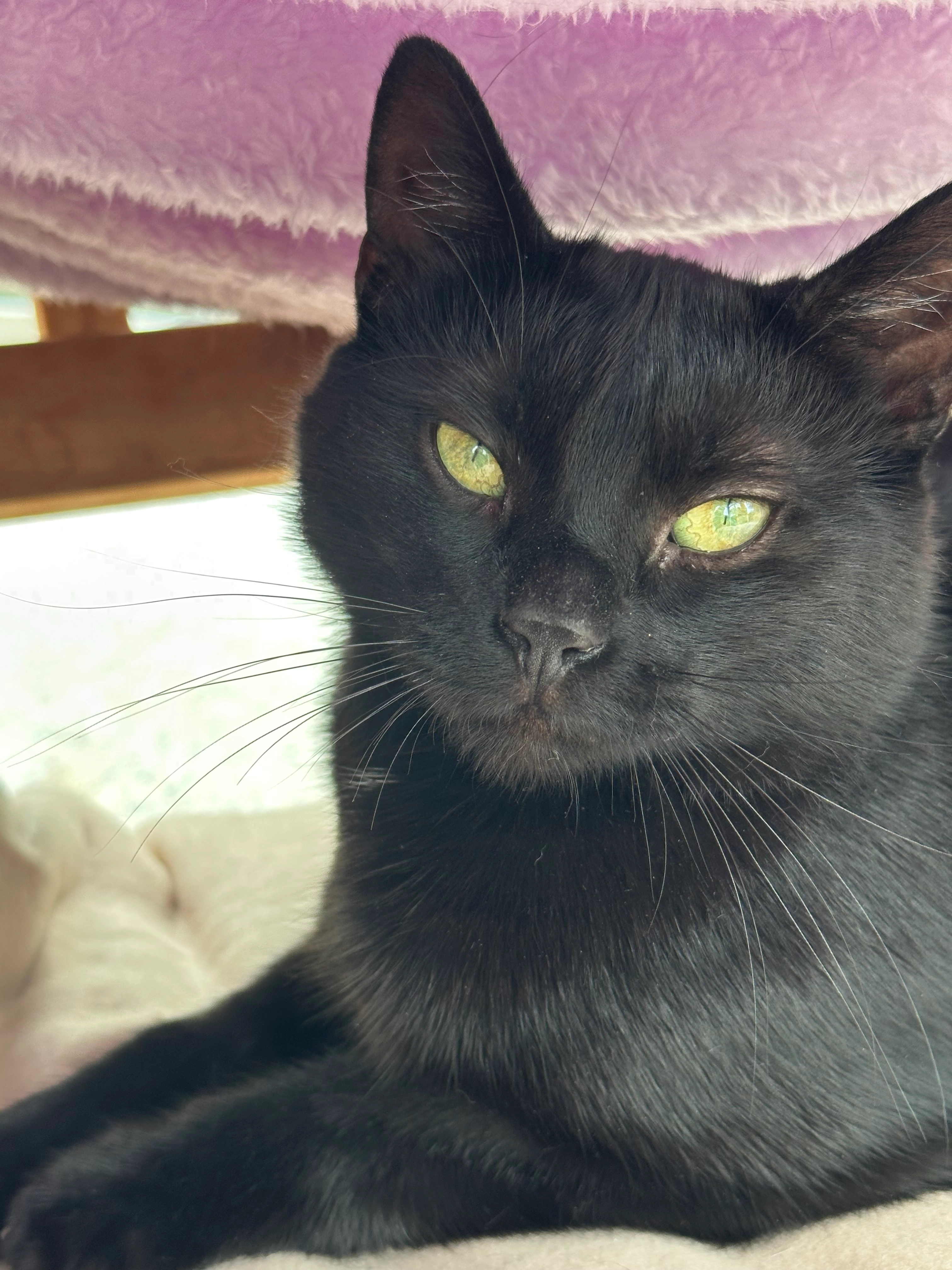 Findus - Lindenplatz, Röthlein