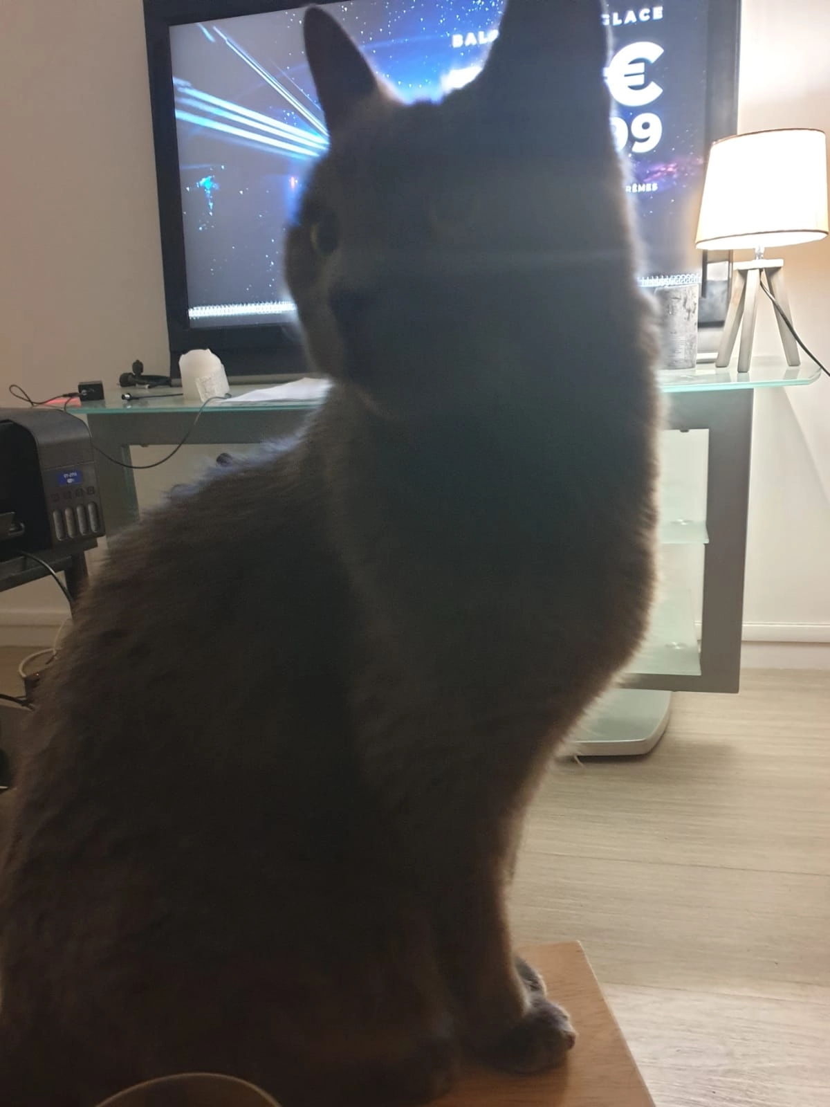 Zen - Rue de l'Abbé Lemire, Le Havre