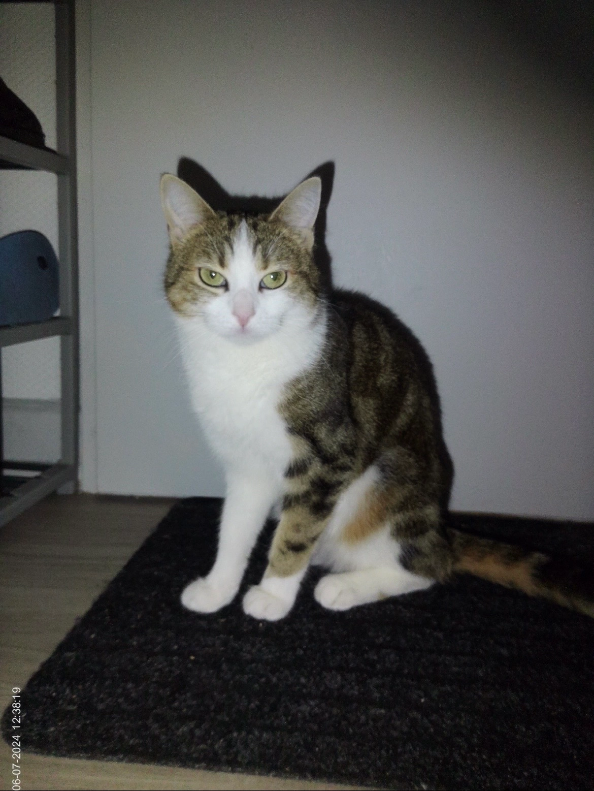 Umber - 2 Rue Voltaire, Golbey