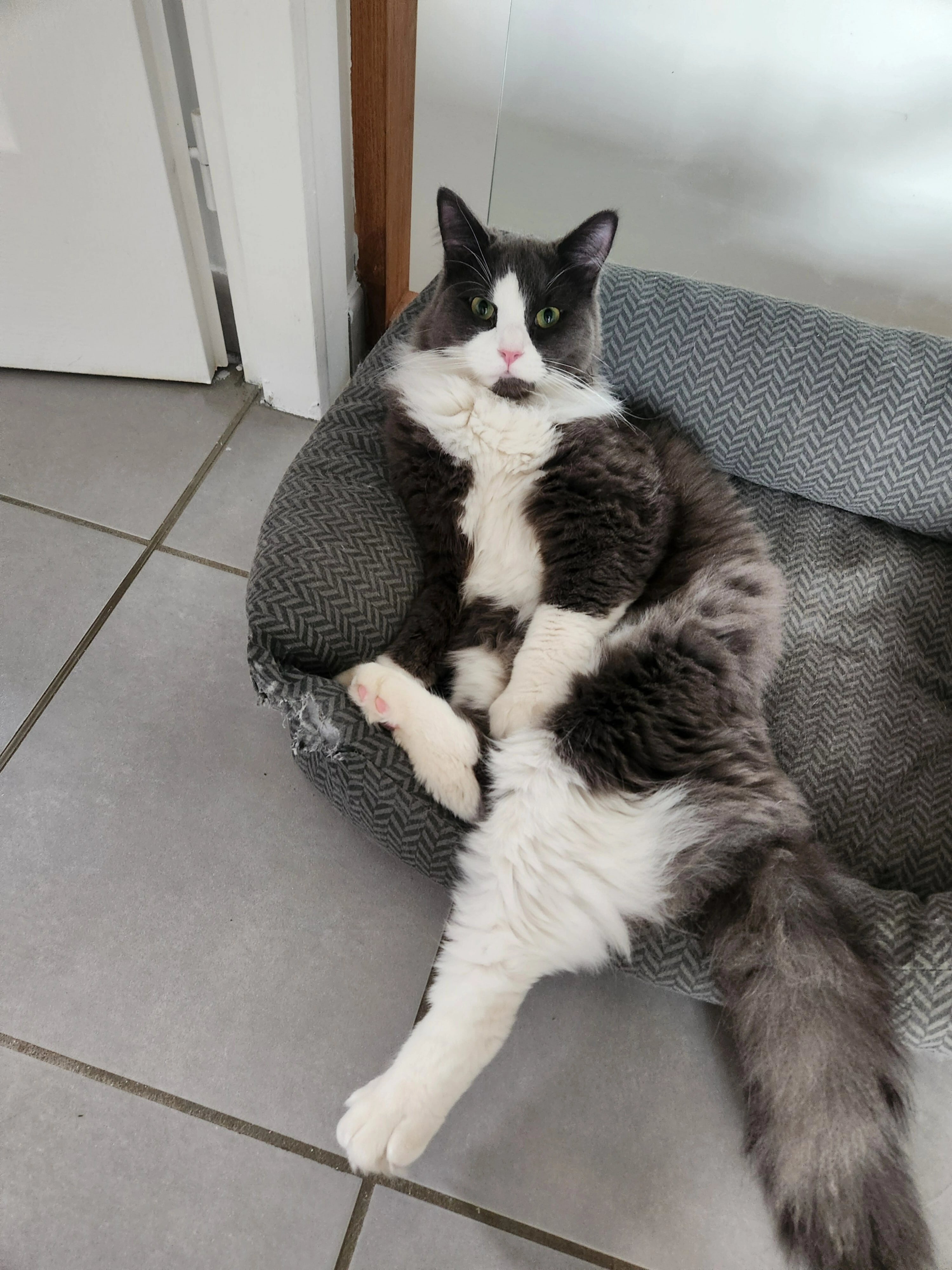 Yuzu - Route de chambéry , Cessieu