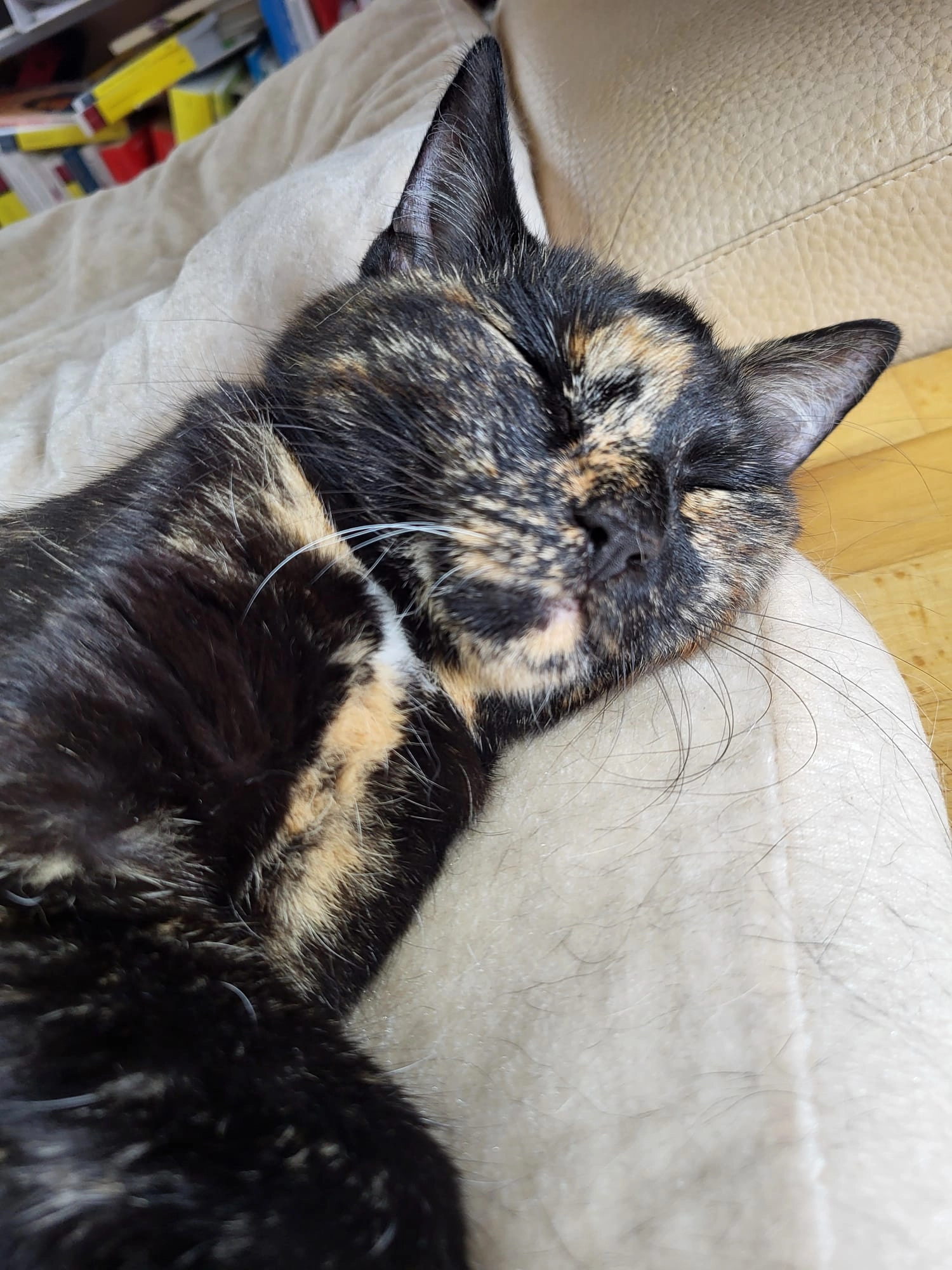 Merlina - Wettersteinstraße, Maisach