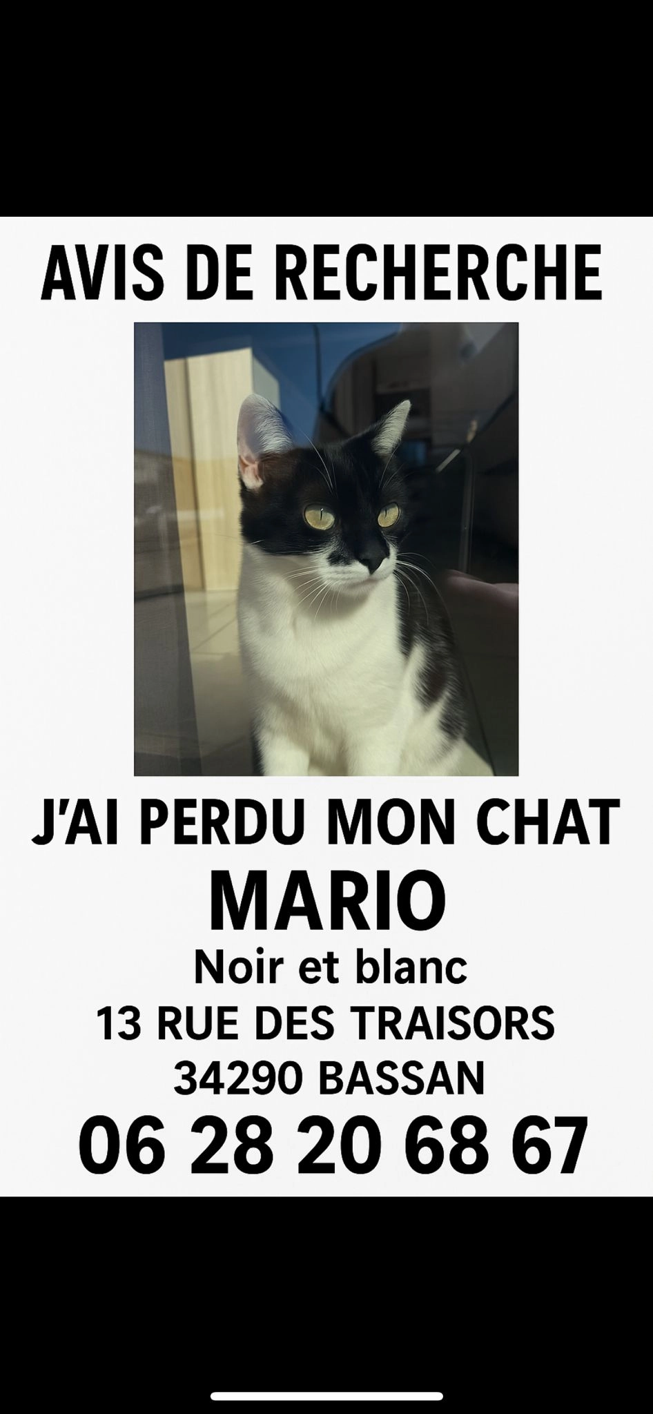 Mario - Rue des Traisors, Bassan