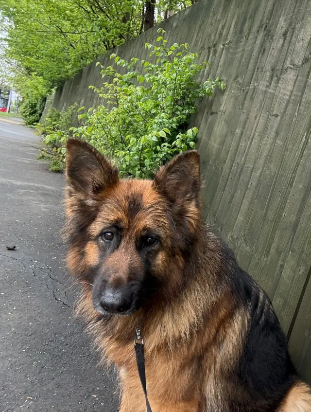 Luna - HA8 0, Edgware
