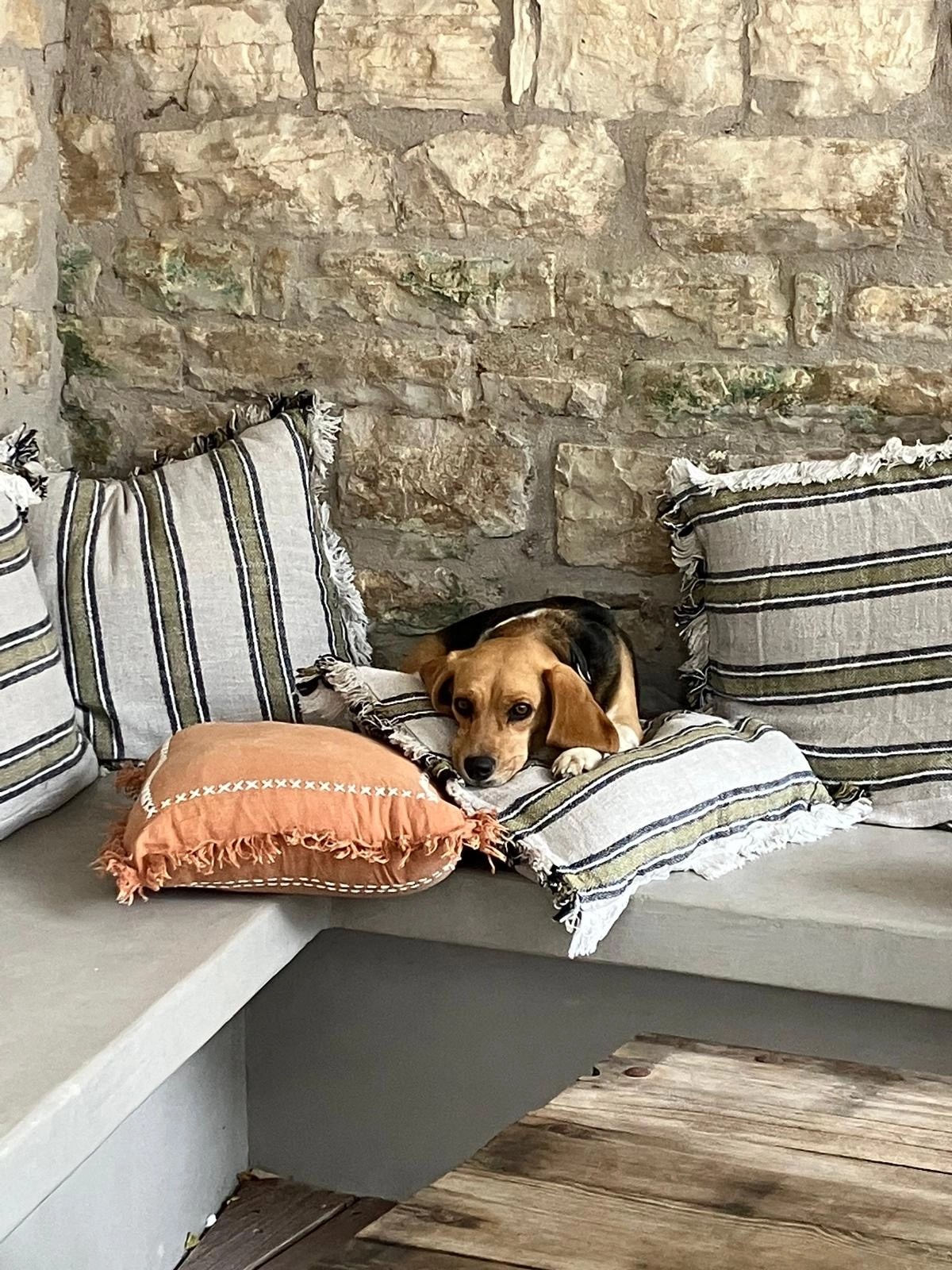 Adèle  - Rue Saint-Vincent-De-Paul, Dijon