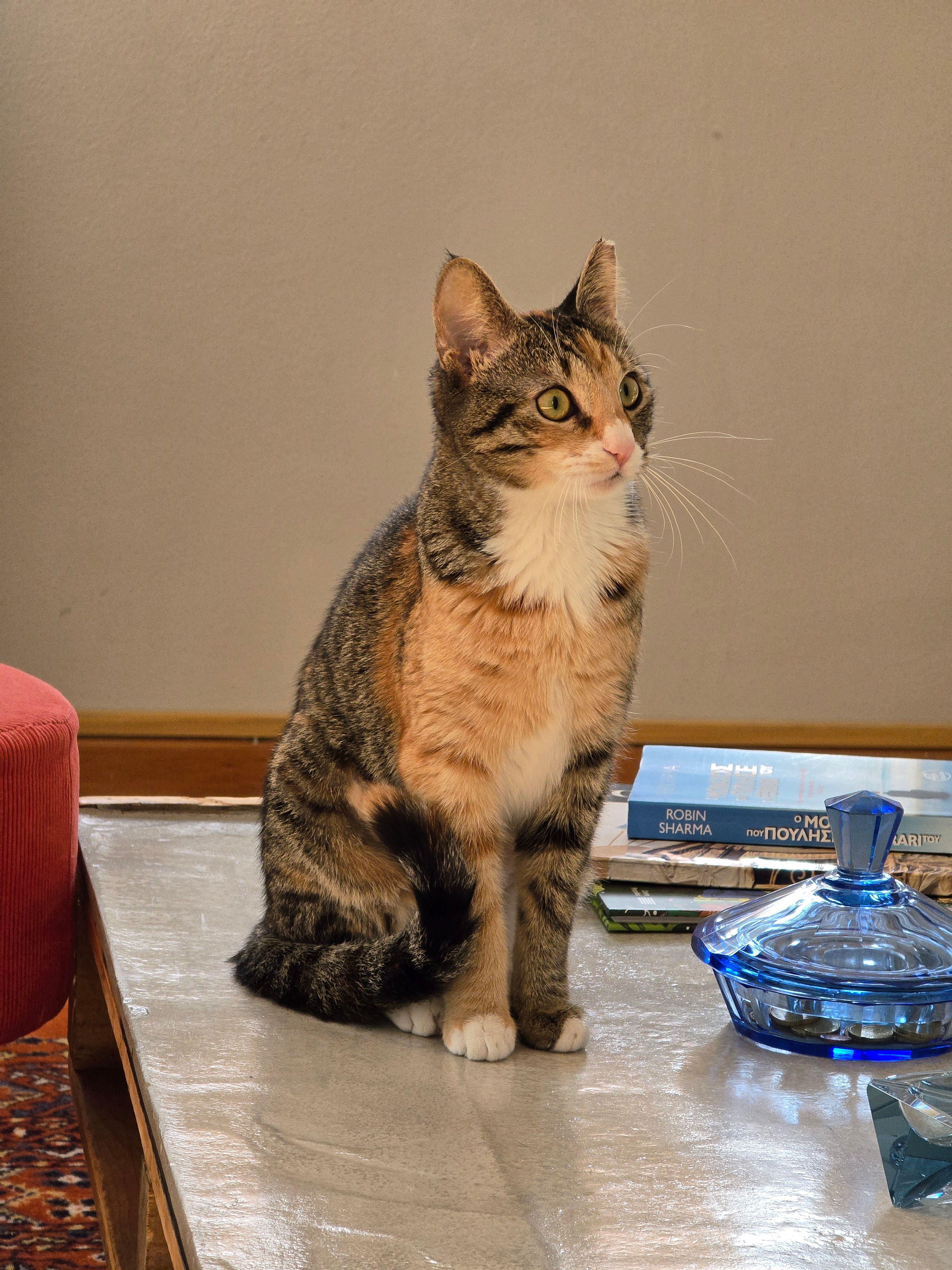 Fortu - G. Vogiatzi 5, Agioi Anargyroi