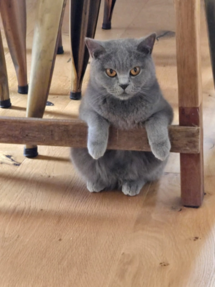 Lora - Täbyvägen 65, Täby