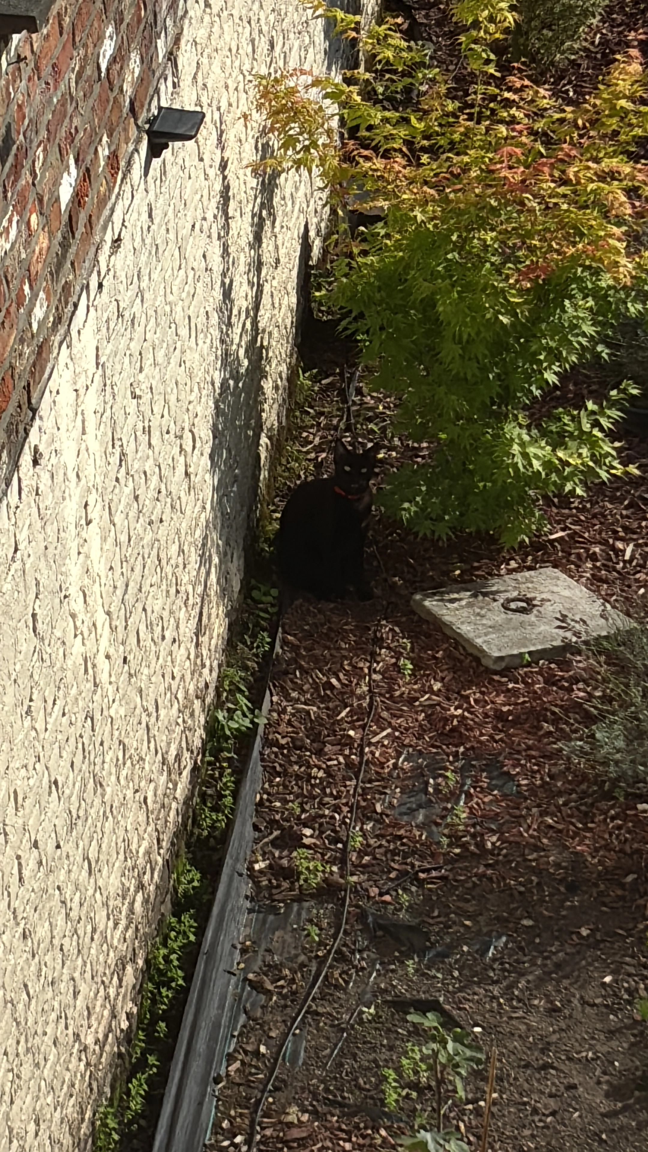 Gino - Avenue Reine Astrid 65, Namur