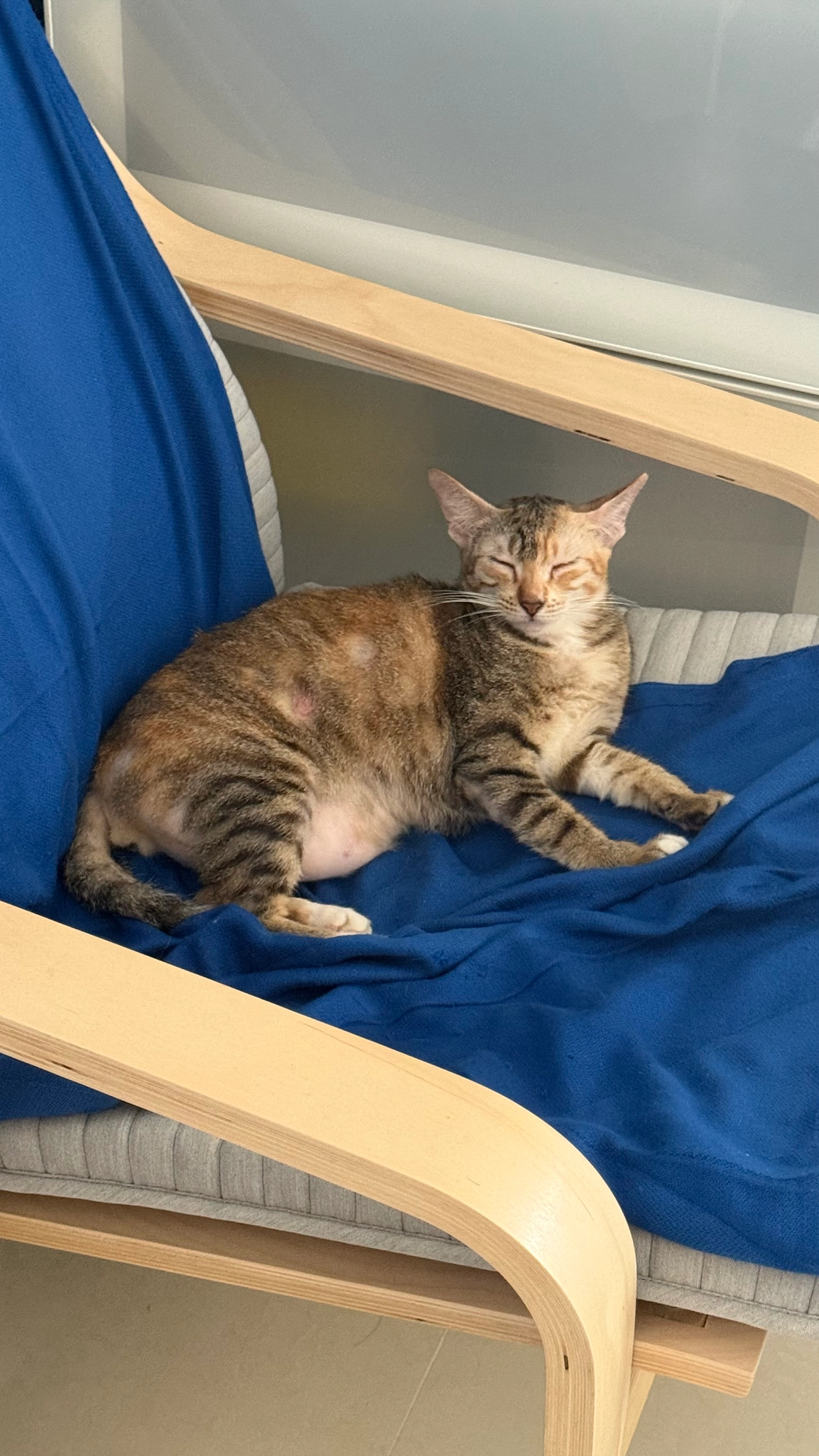 autumn - Whampoa Drive, Singapore