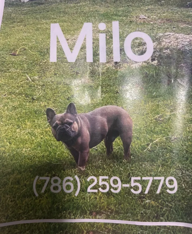 Milo - SW 107th Ave, Miami
