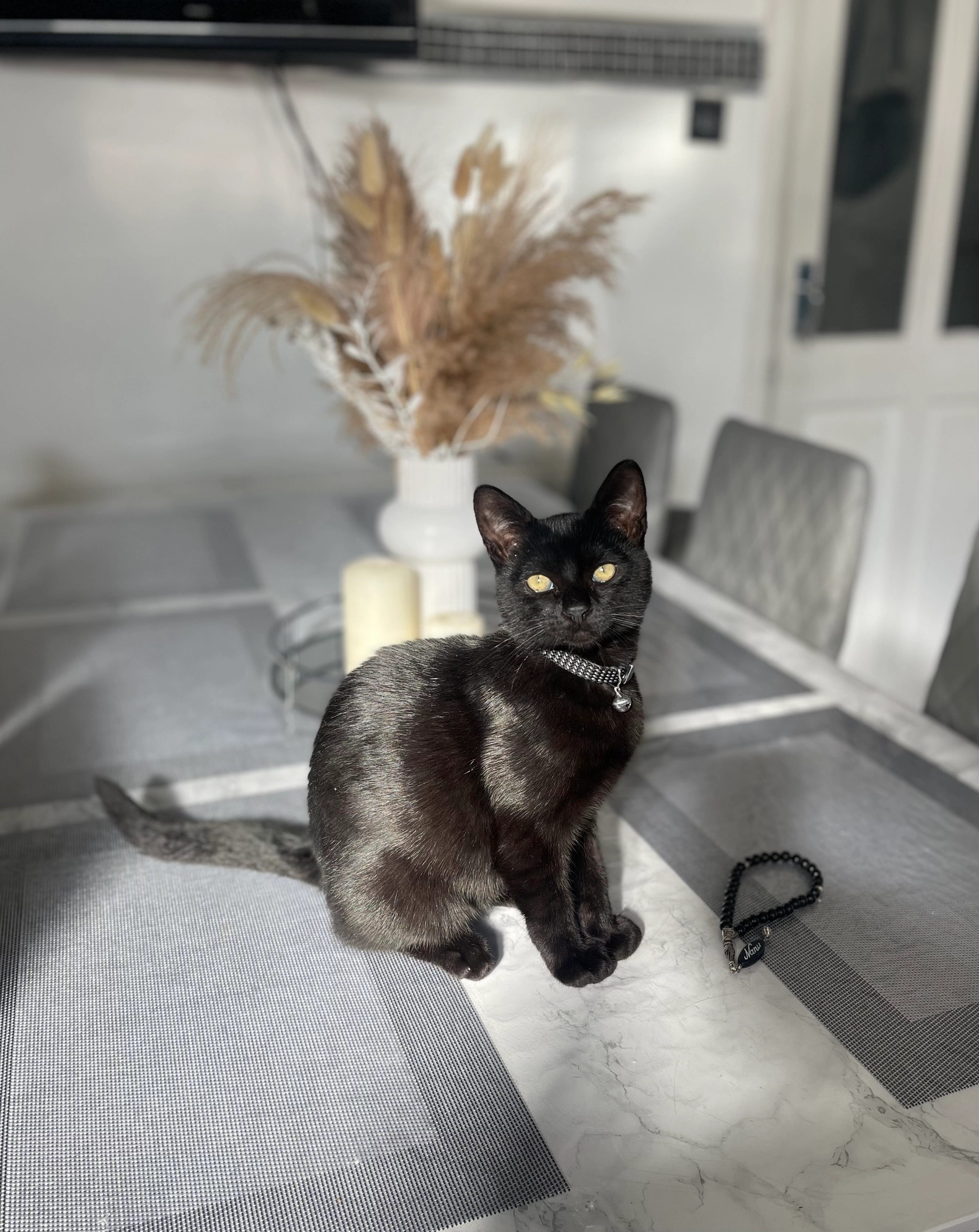 Kilo - Hill Top Mount, Leeds