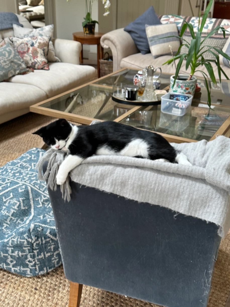 Santi - August Lane, Guildford