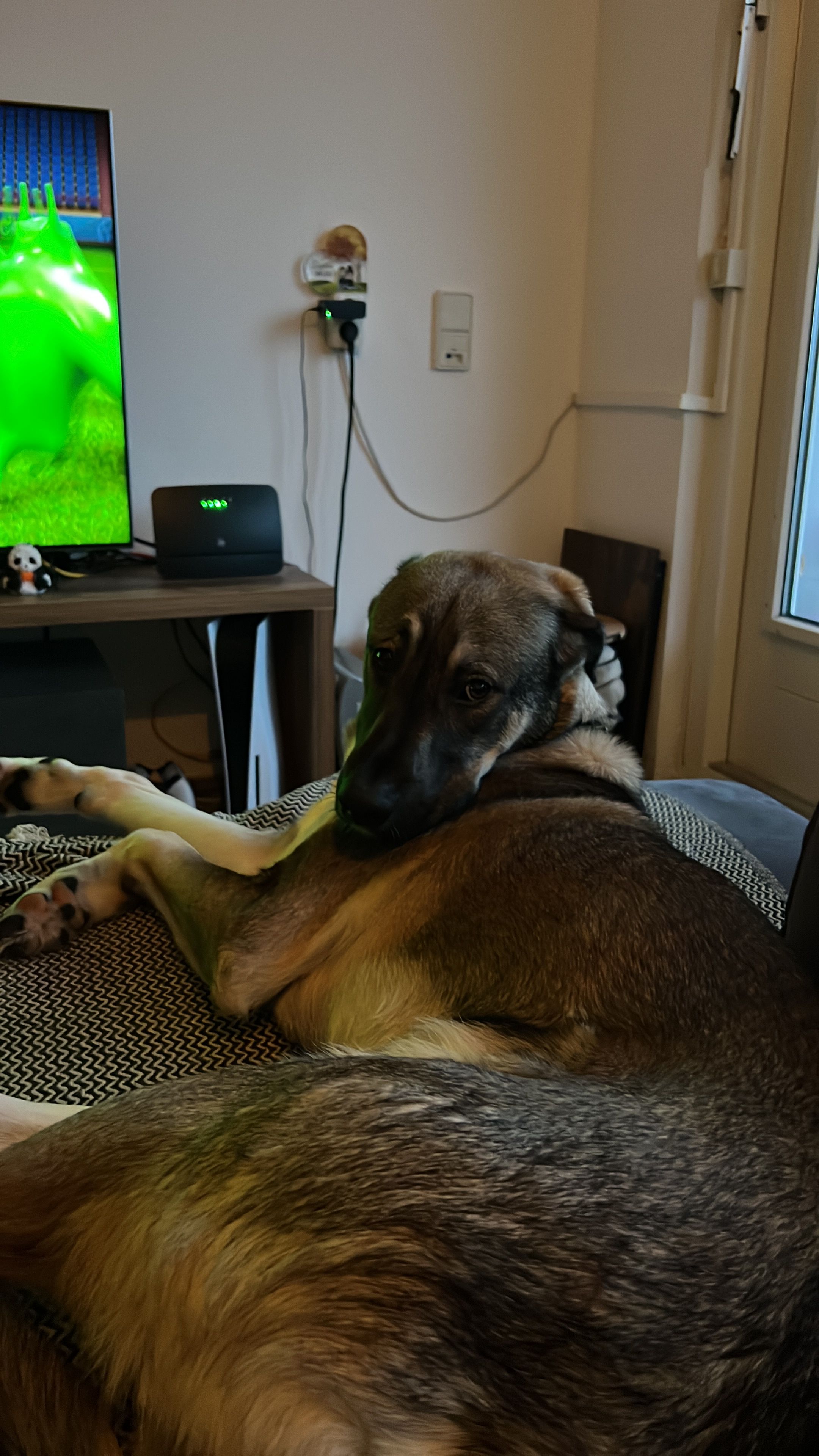 Max - Molenakkerstraat, Moergestel