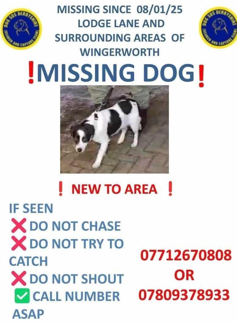 Csopi - Ashover Road, Chesterfield