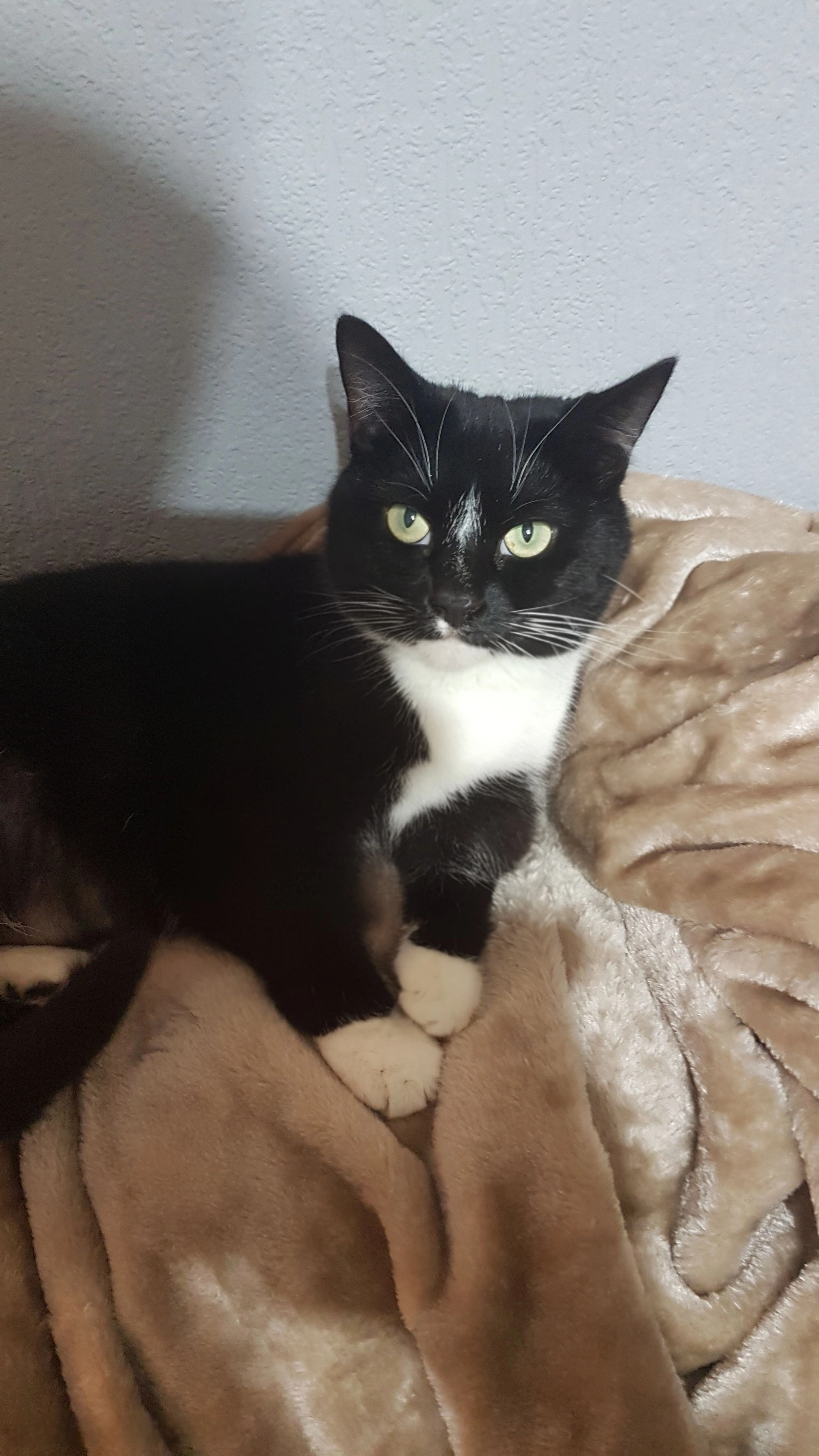 Isobel - Norfolk Street, Leicester