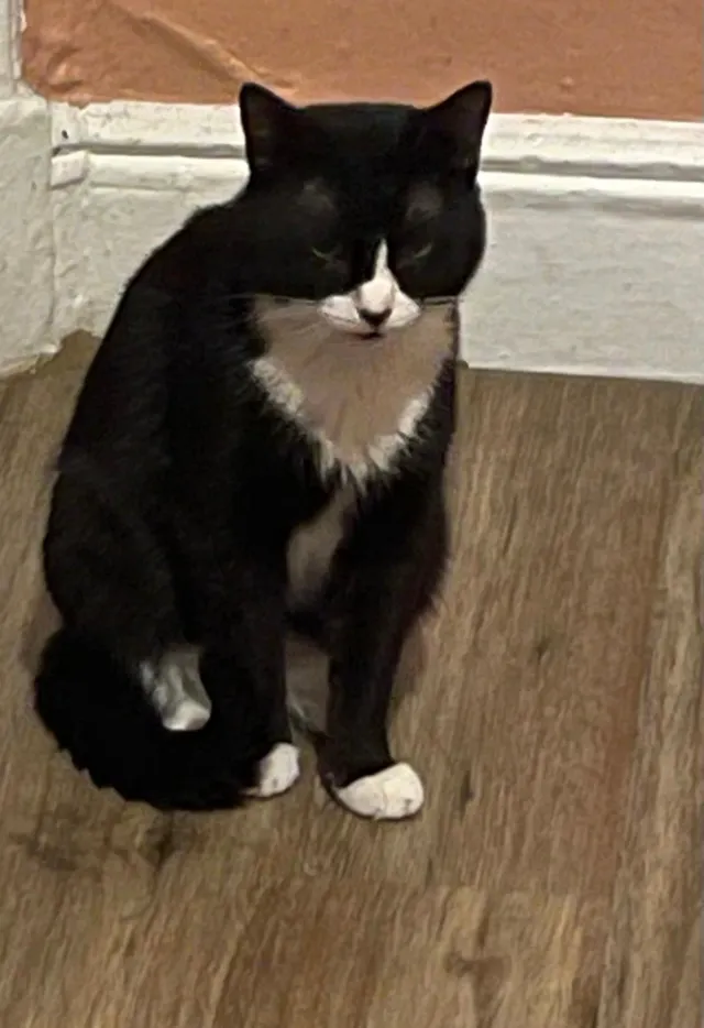 Se llama sky - Highland Avenue, Yonkers