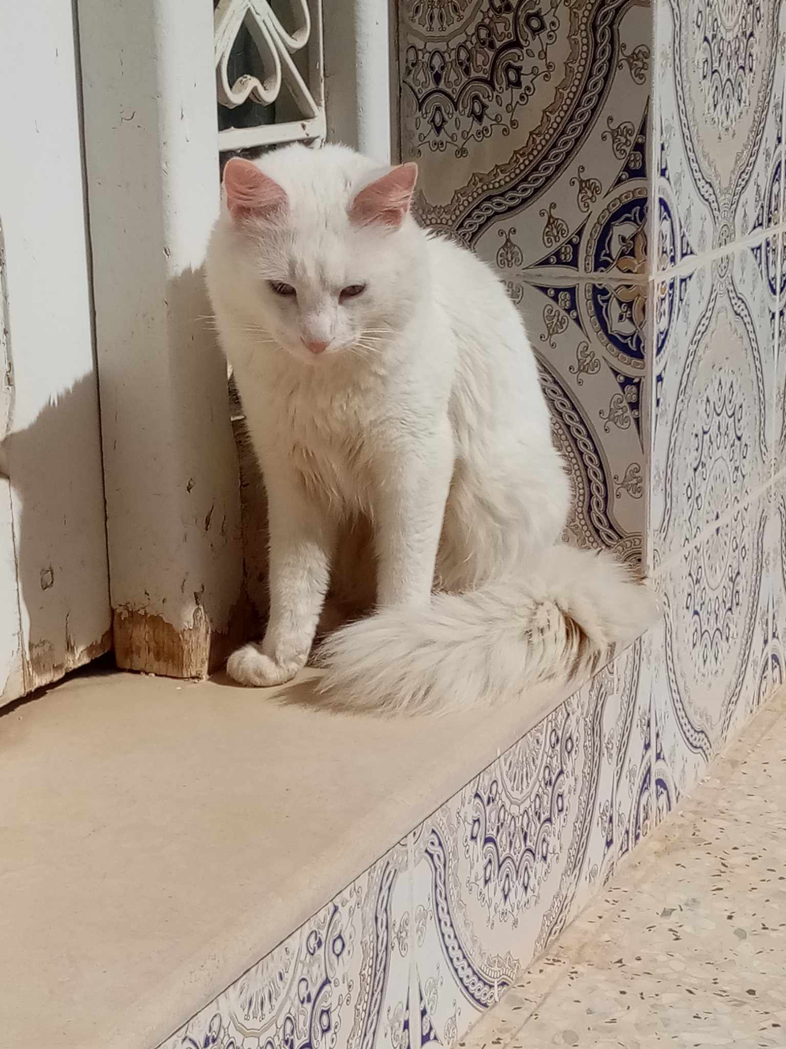 Men8er Essm / Mayassma3sh - Hay Ennouhoudh Jama3 Abu Bakr Seddiq, Gafsa