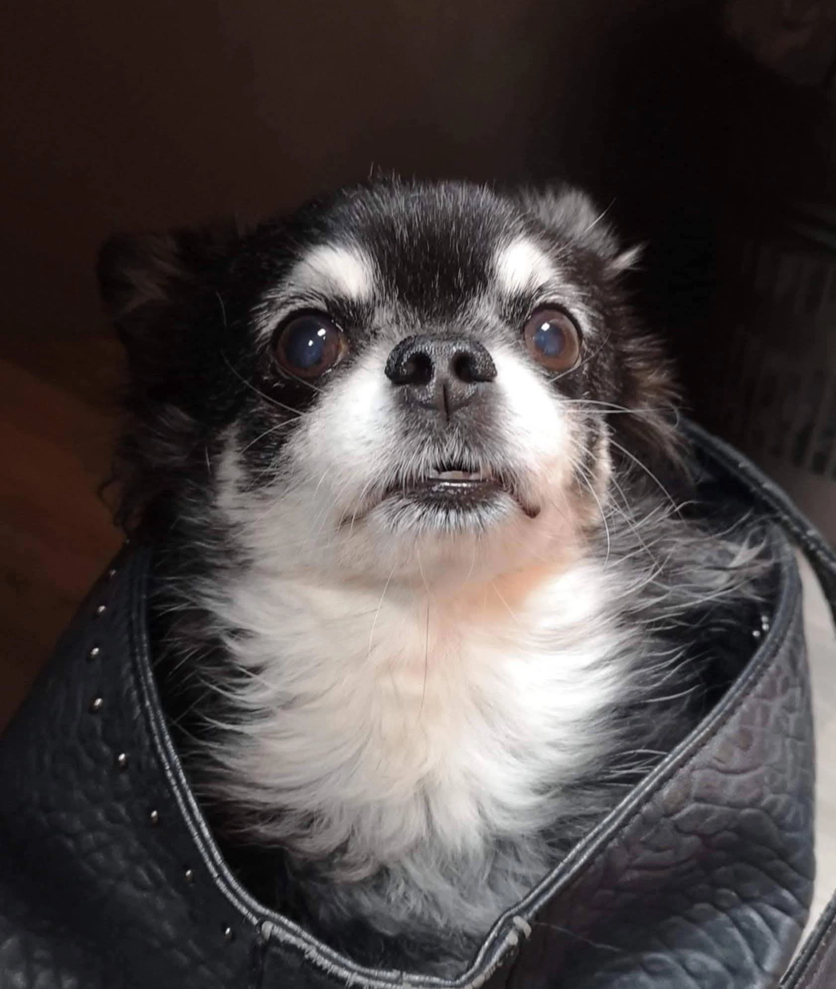 Cali - Impasse Du Général De Gaulle, Bart