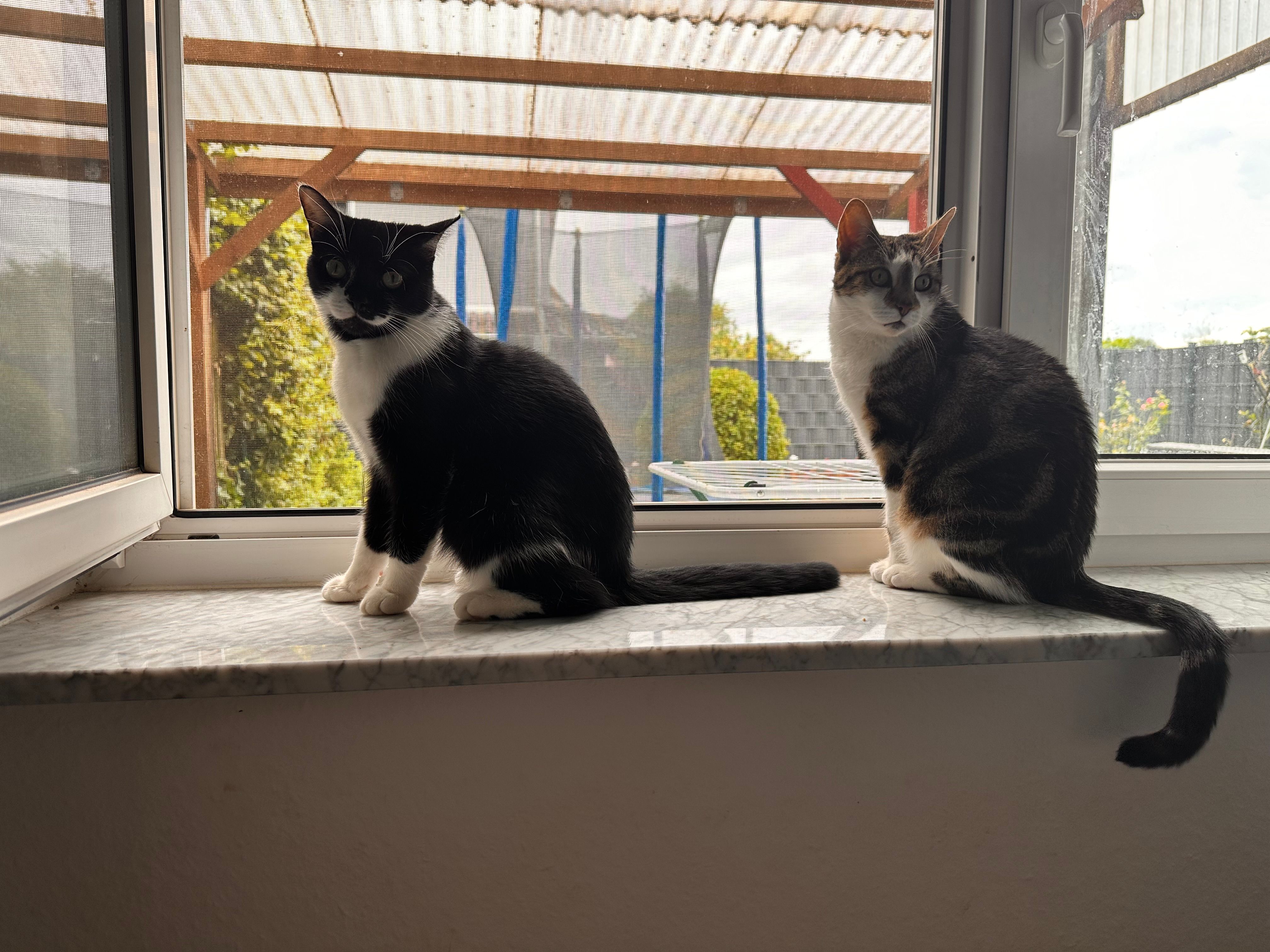 Mimi - Hauptstraße, Echzell