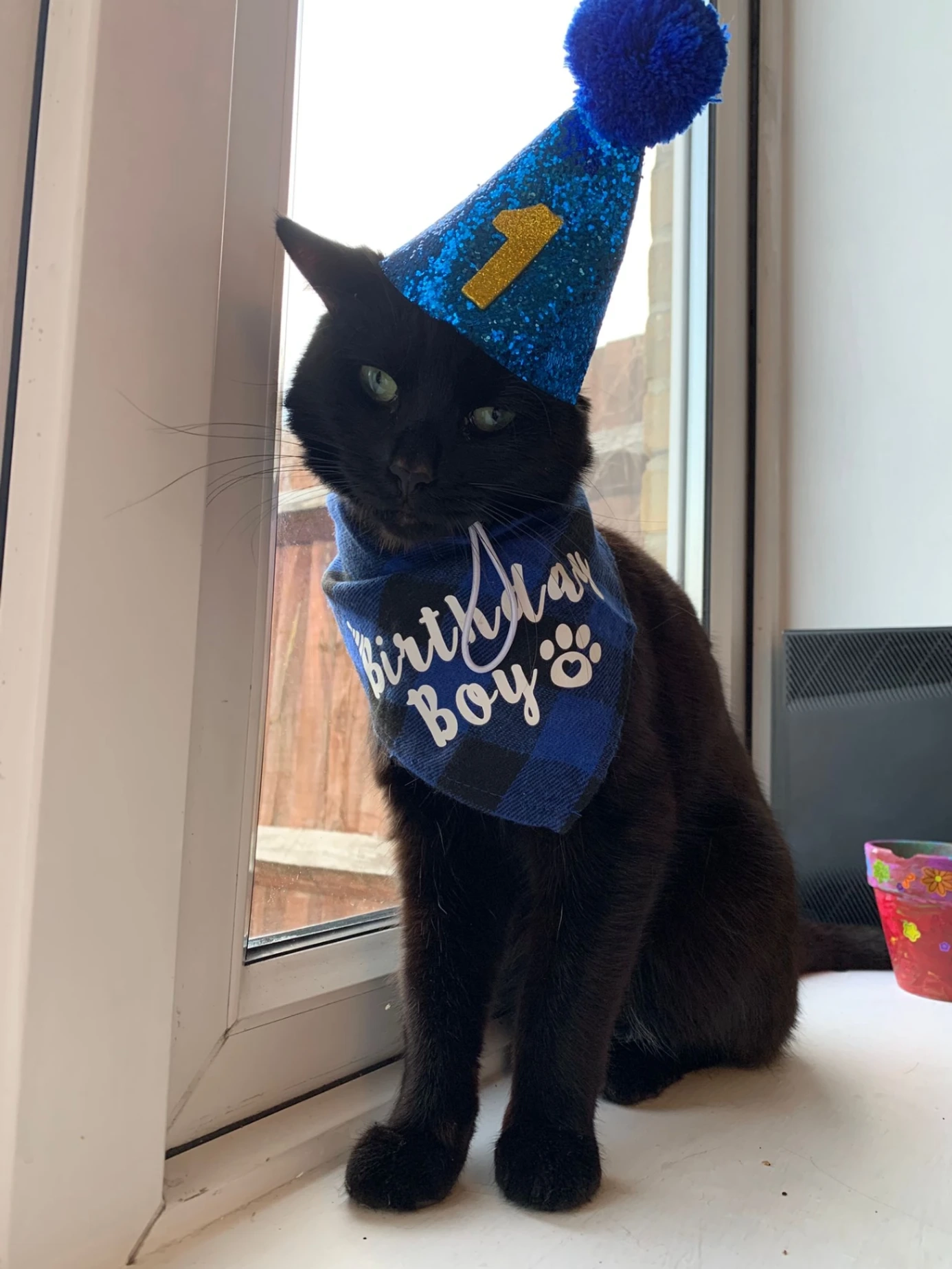 Nipsy - Cobham Close, Edgware