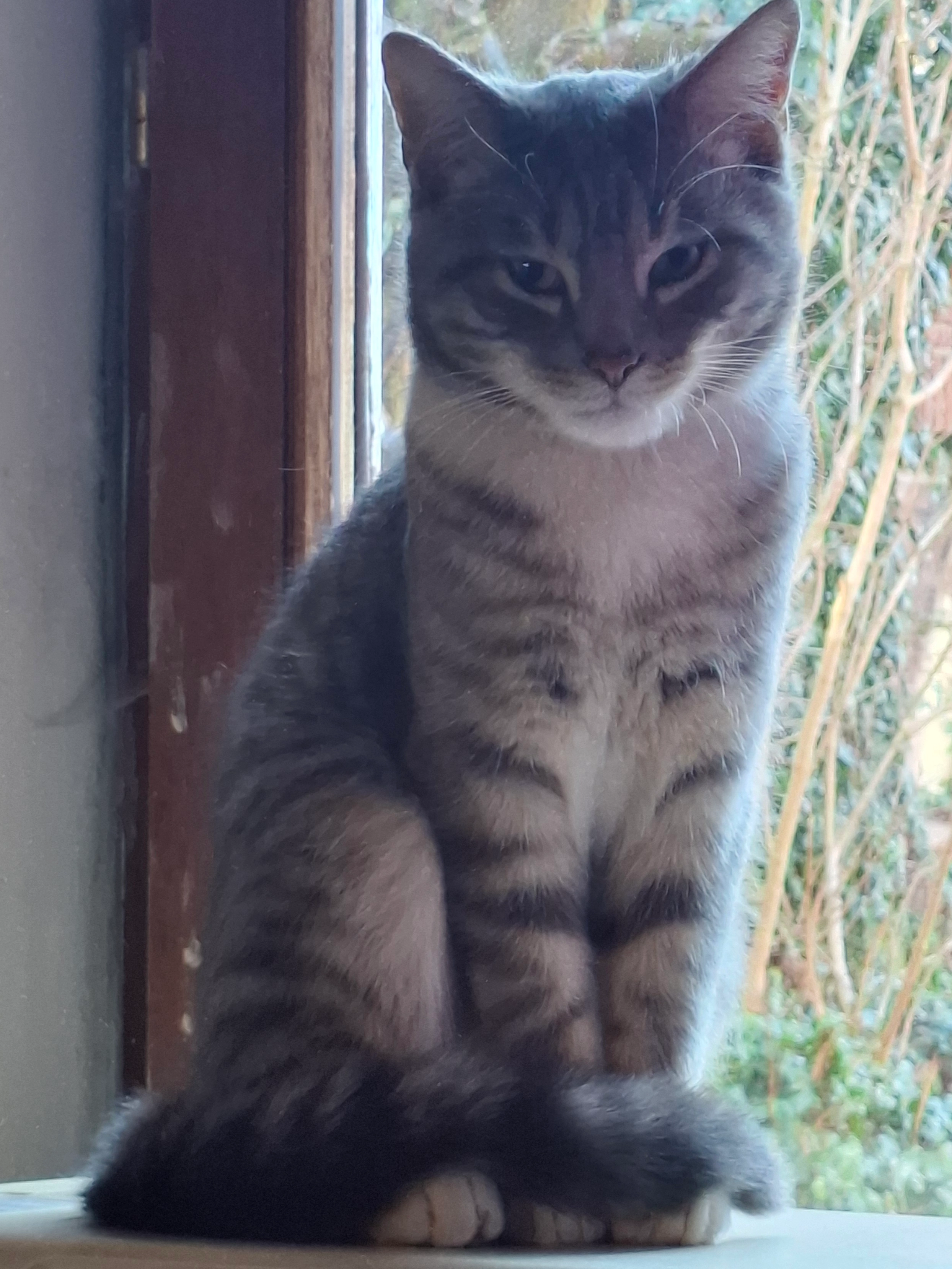 Gaston - Rue Sart Colin, Brunehaut