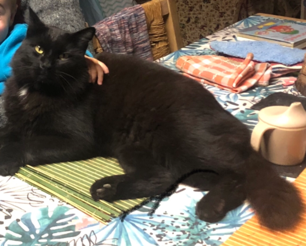 Pitufo - Autovía del Nordeste, Pla de Montso, Lleida, Lleida