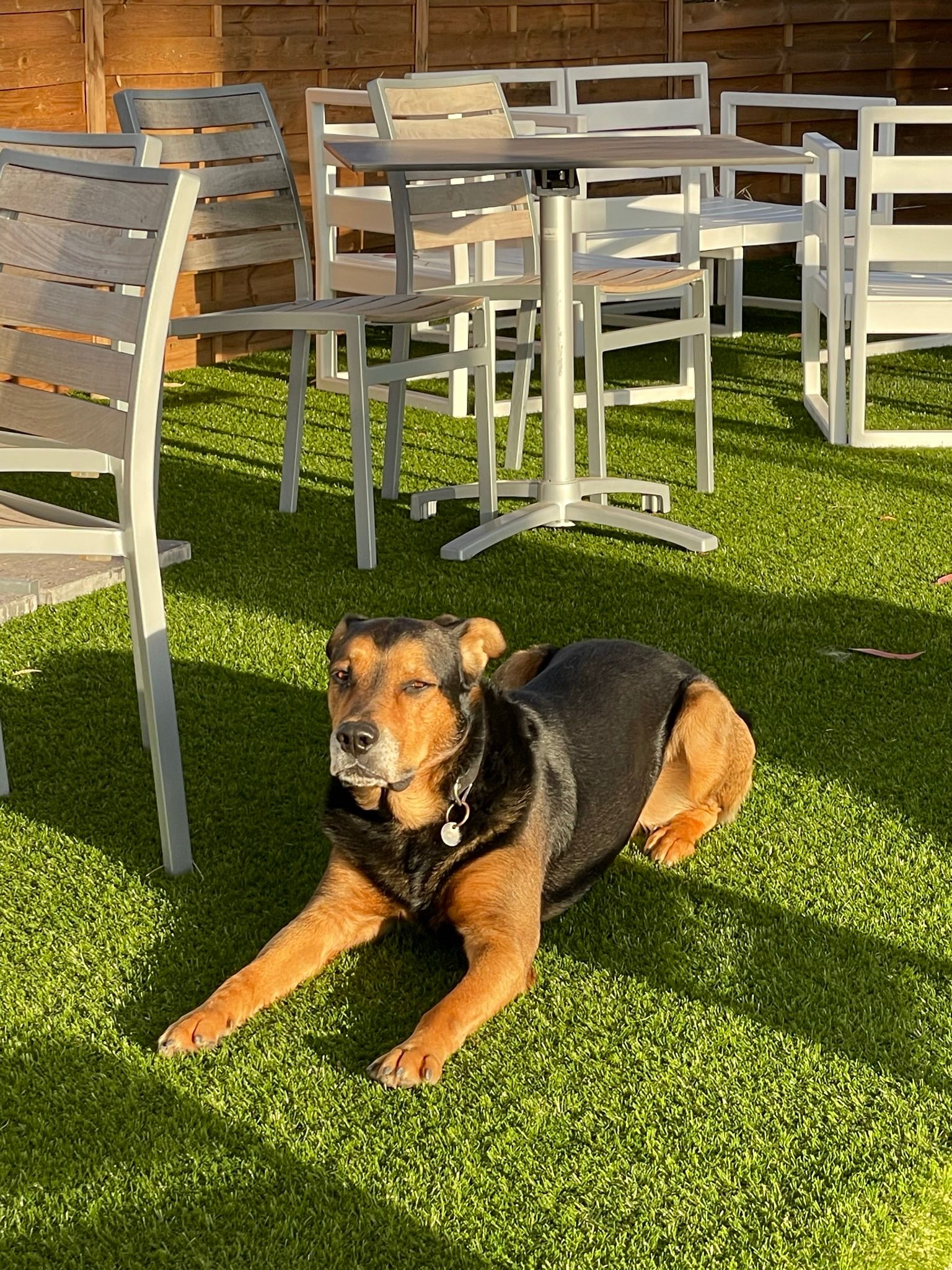 Paco - Col Notre-Dame Au Pic Martin, Saint-Raphaël