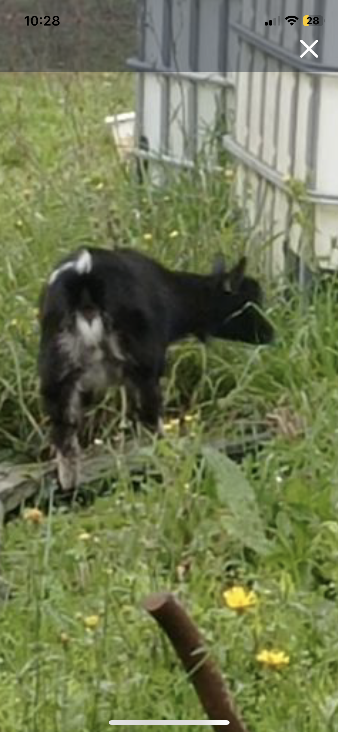 vito  - 278 Route de la Richardière, Les Rairies