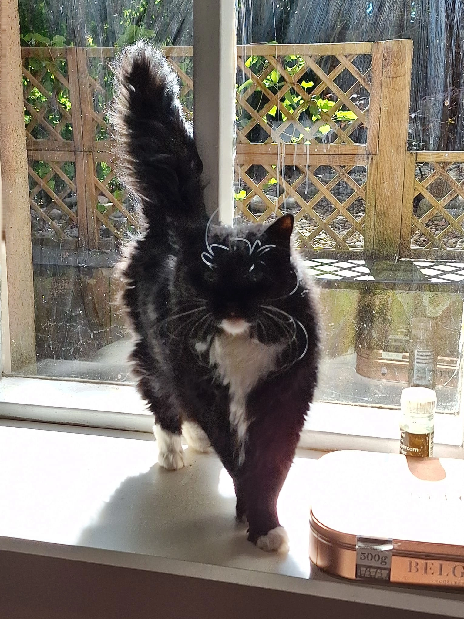 Isla - G12 0, Glasgow