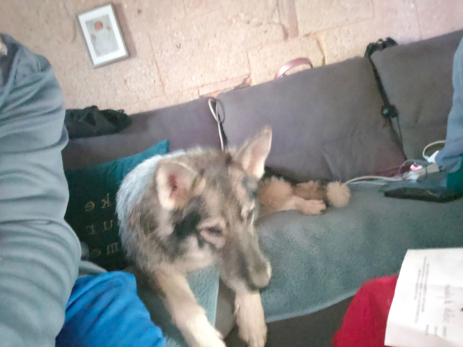 Rony - Rue Du Rempart Du Rhône, Avignon