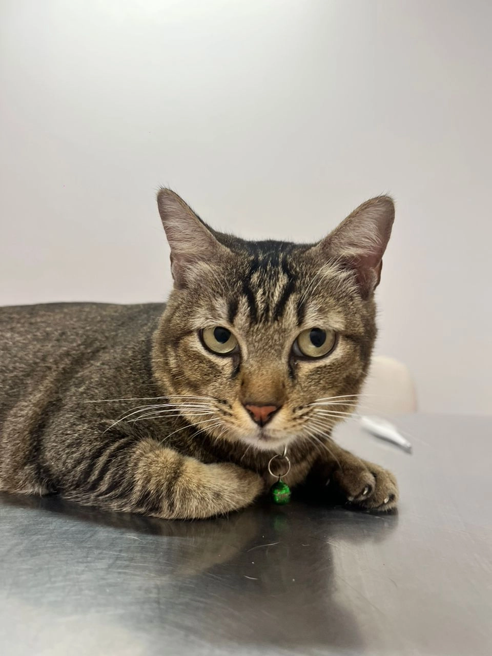 Sam - Jalan Kampung Baharu Nilai-Kg Jerangkang, Pekan Labu