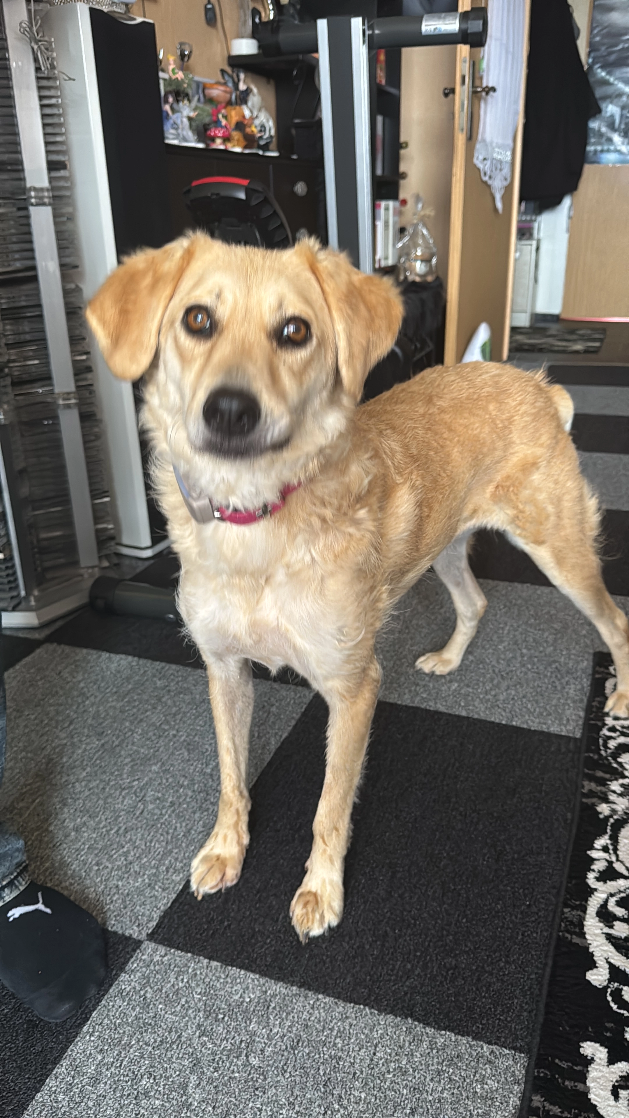 Batida - Johannes-Göderitz-Straße, Magdeburg