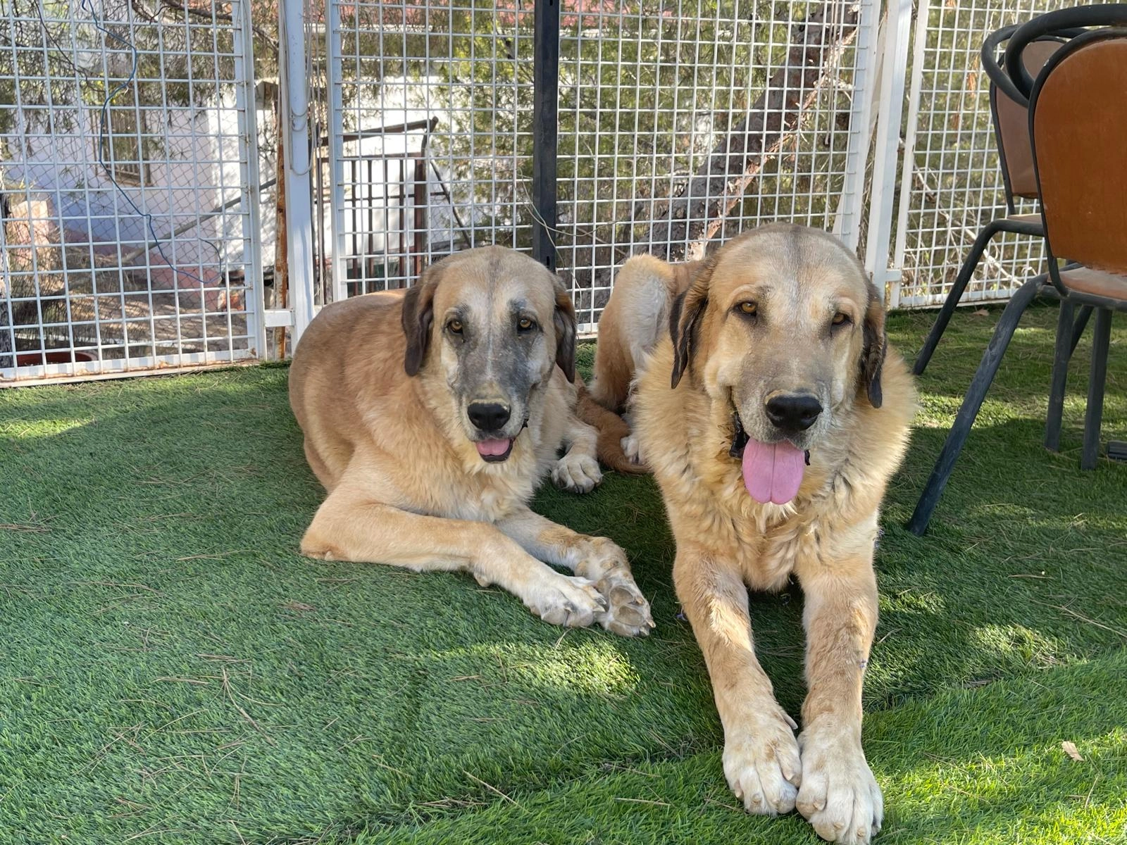 Nube y Rayo - Camino de la Verdolaga, Murcia